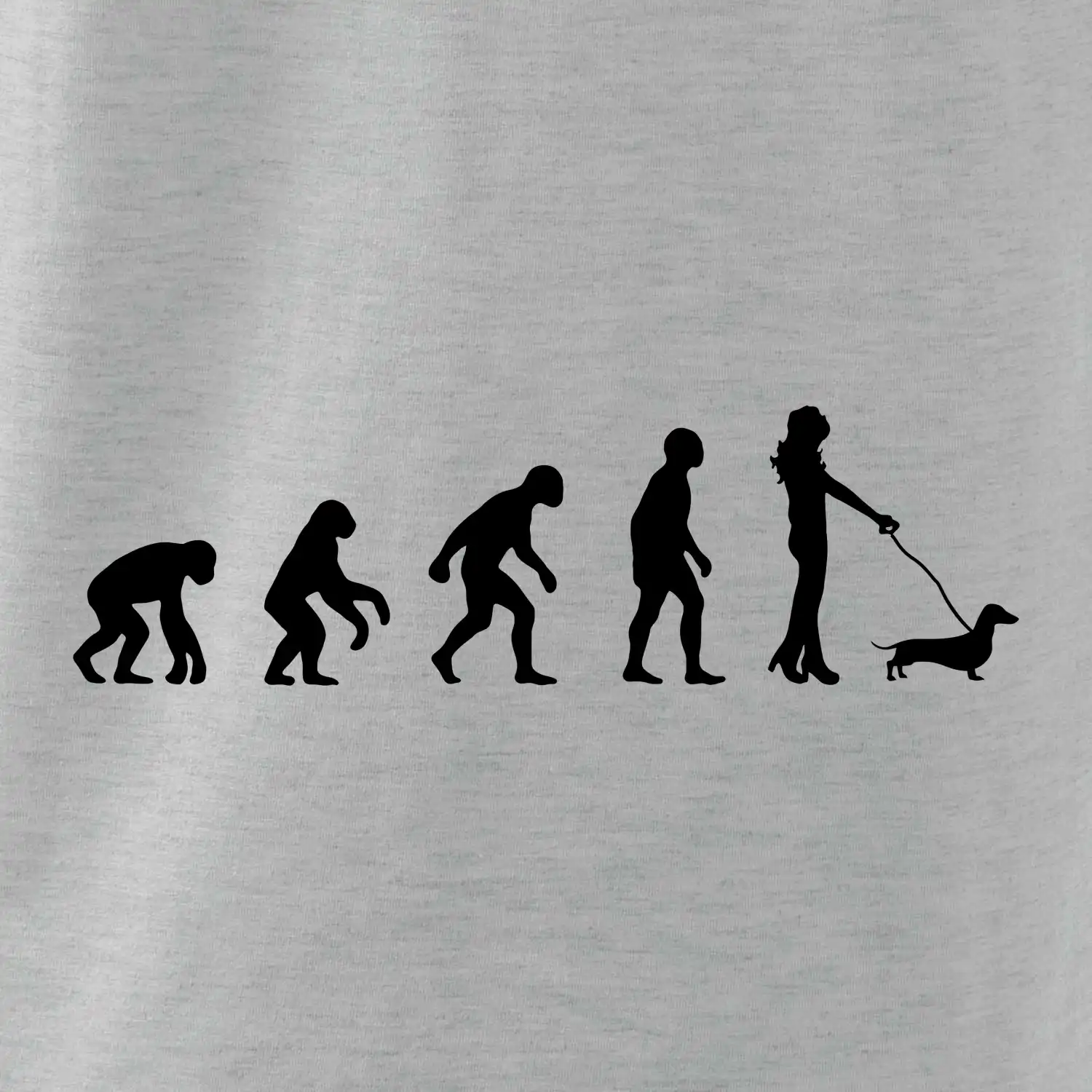 Jezevčík Evoluce žena