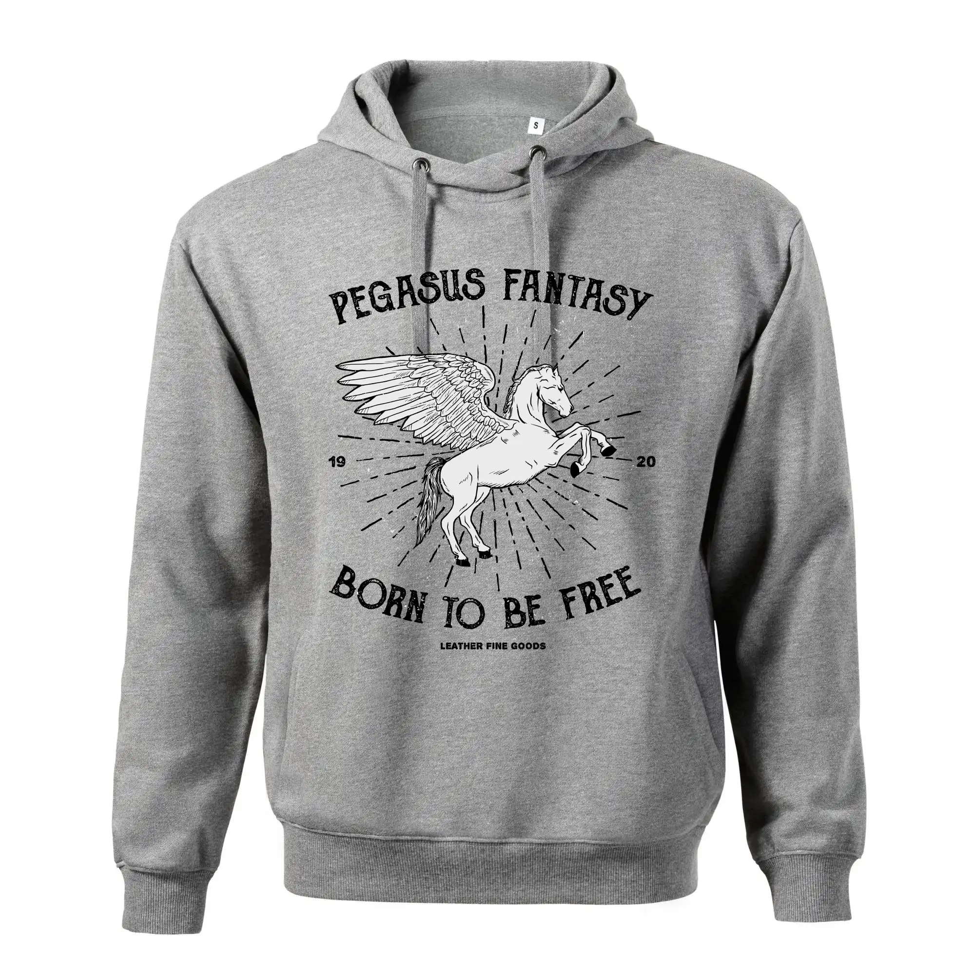 Pegasus fantasy