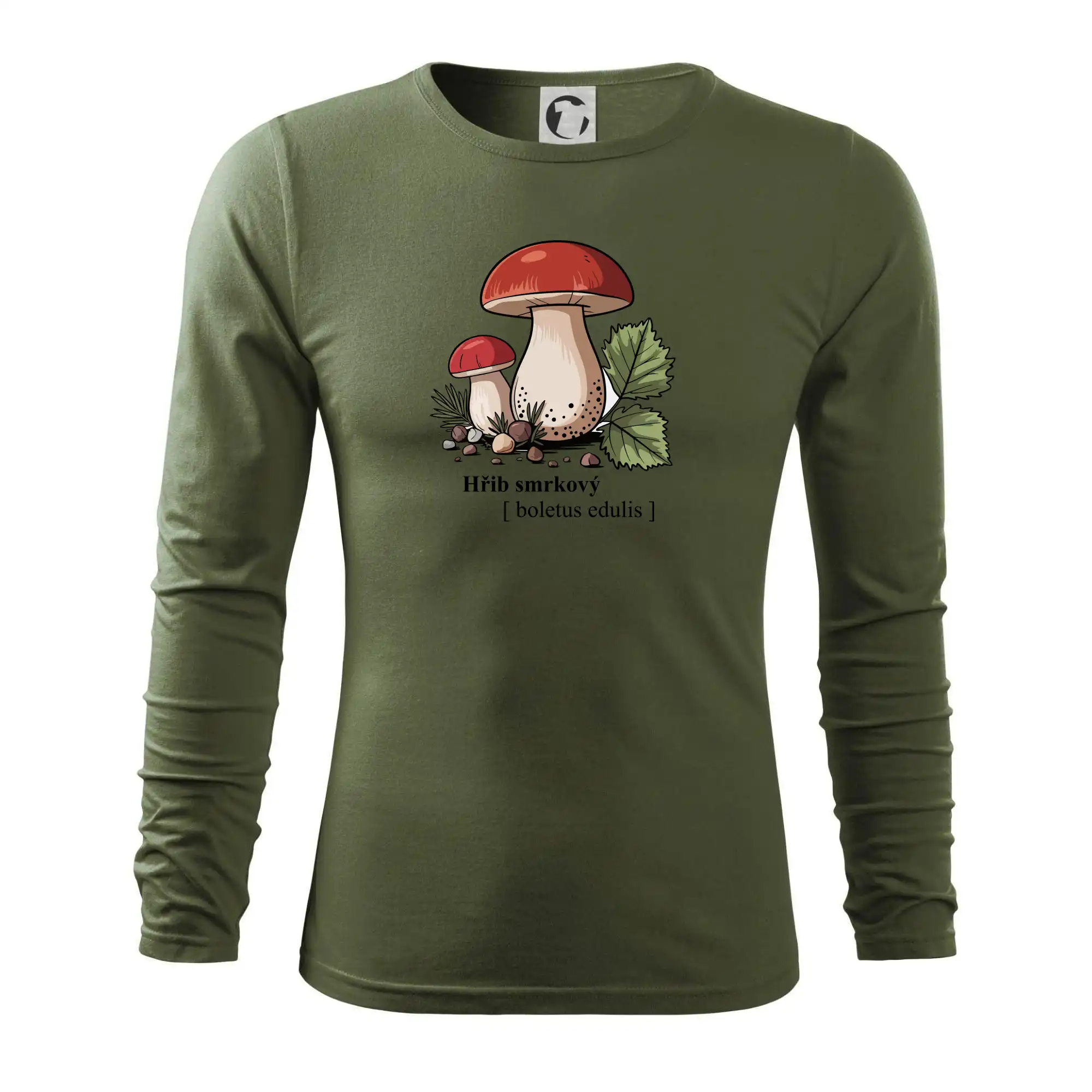 Hřib smrkový - Boletus edulis kreslený