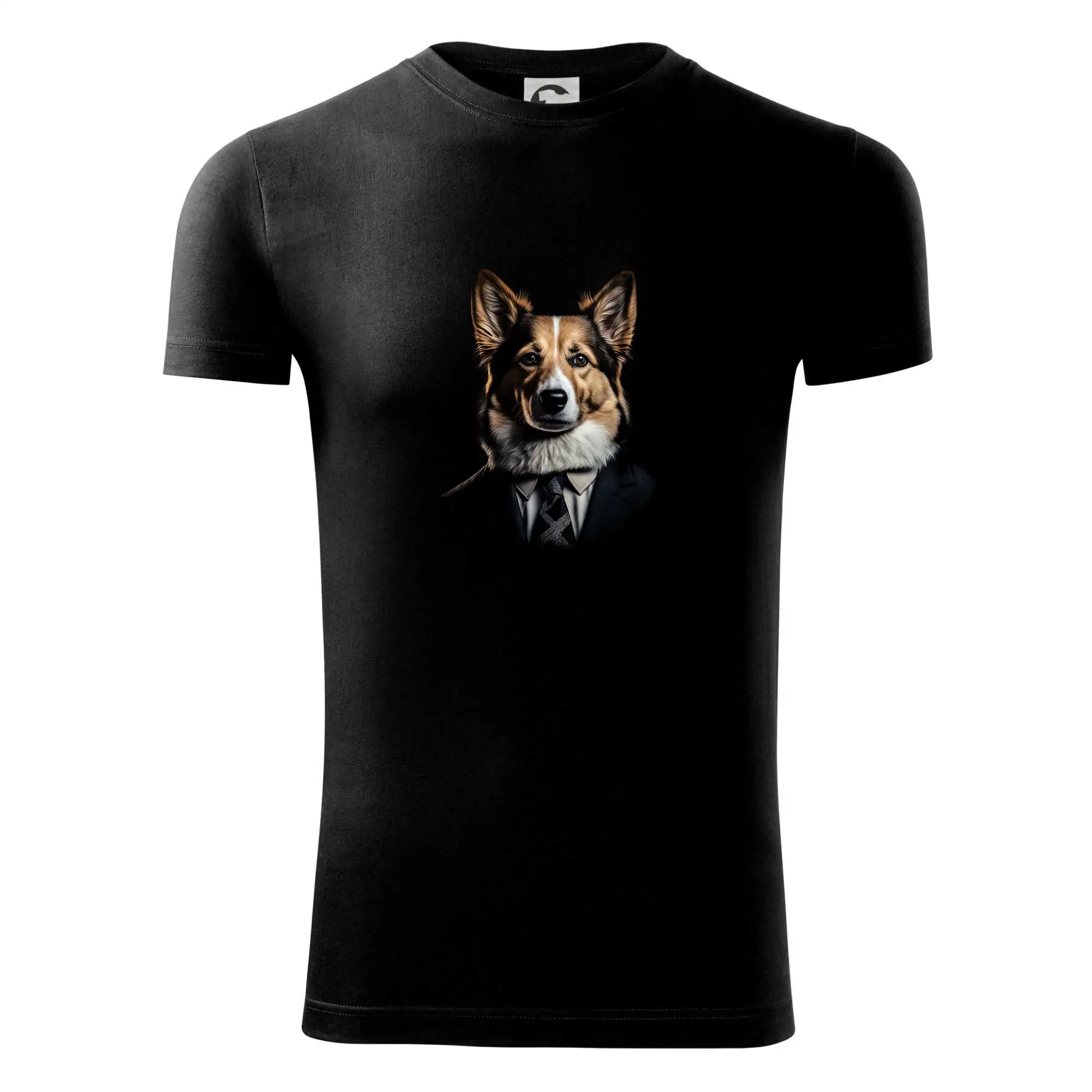 Corgi v obleku