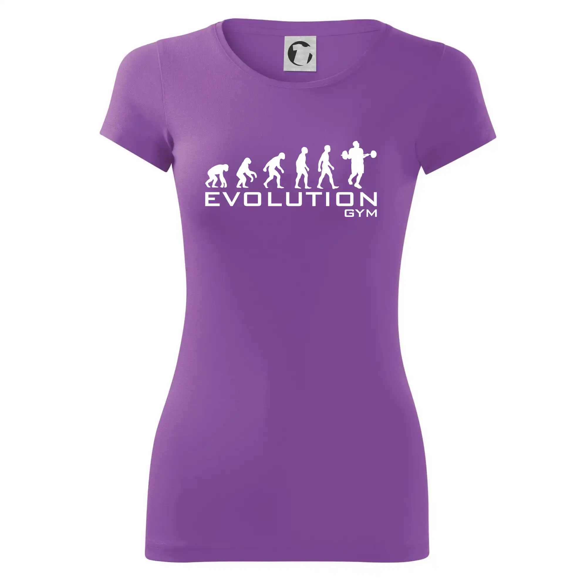 Evoluce Gym