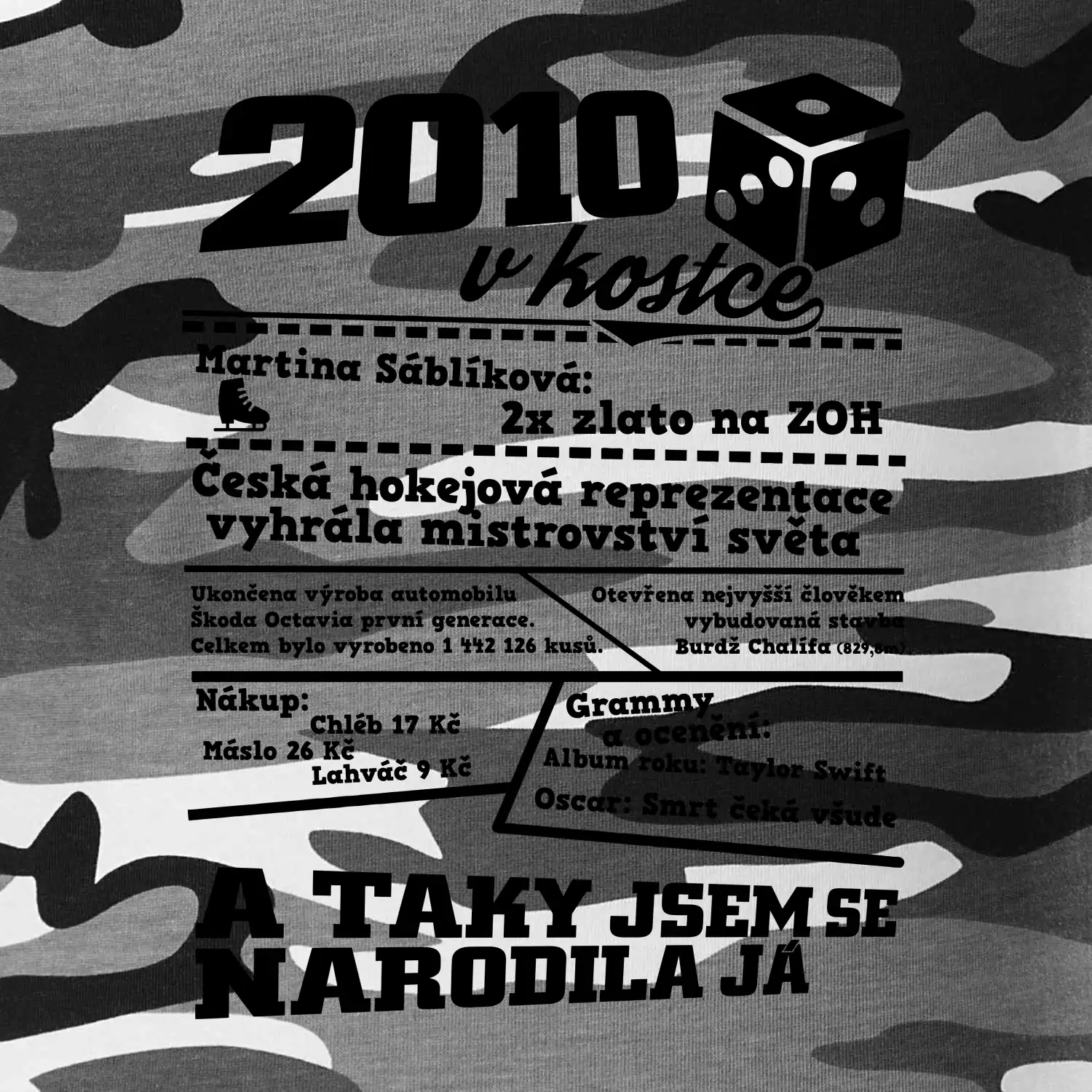 2010 v kostce