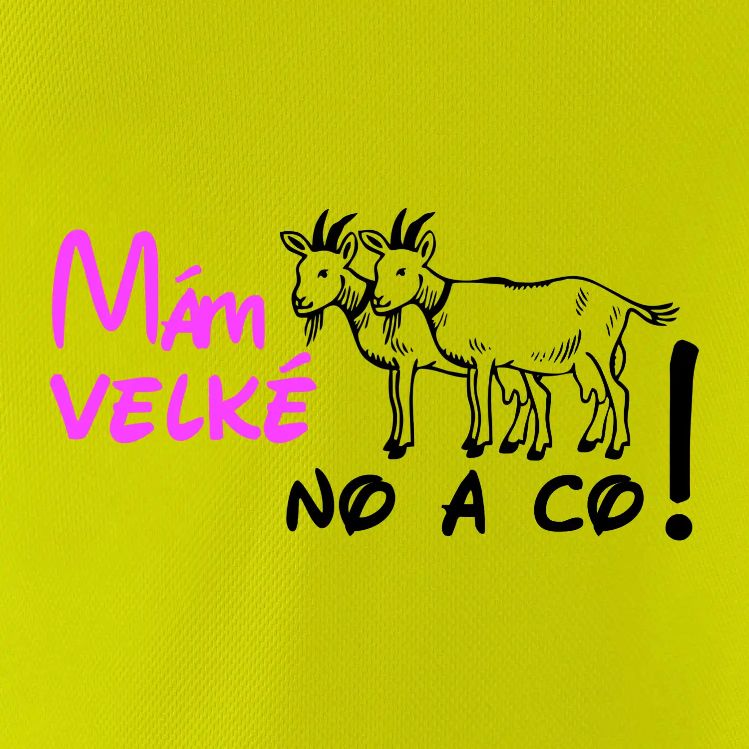 Mám velké kozy! No a co!