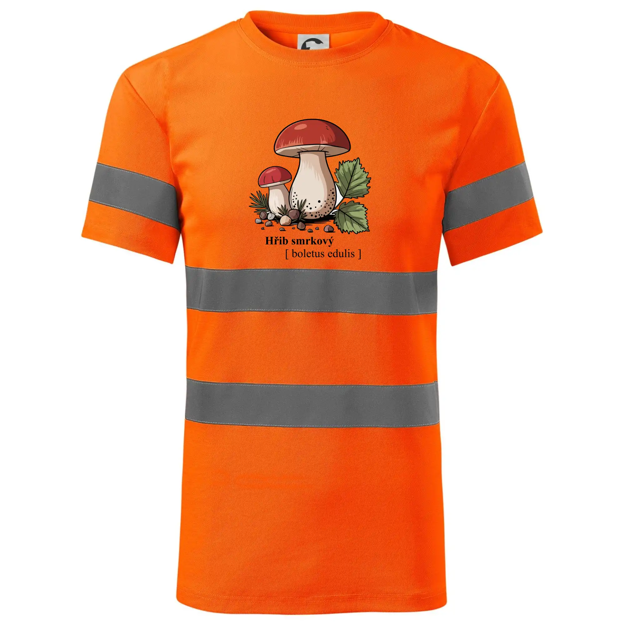 Hřib smrkový - Boletus edulis kreslený