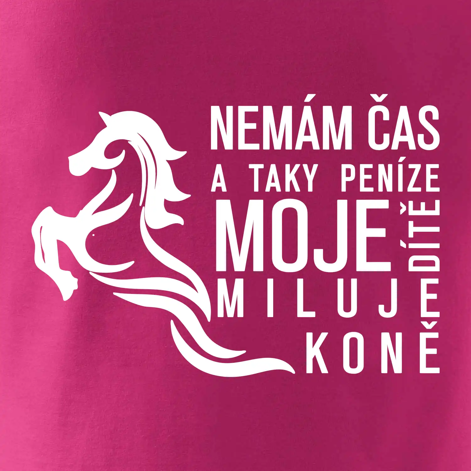 Nemám čas a taky peníze - Kůň