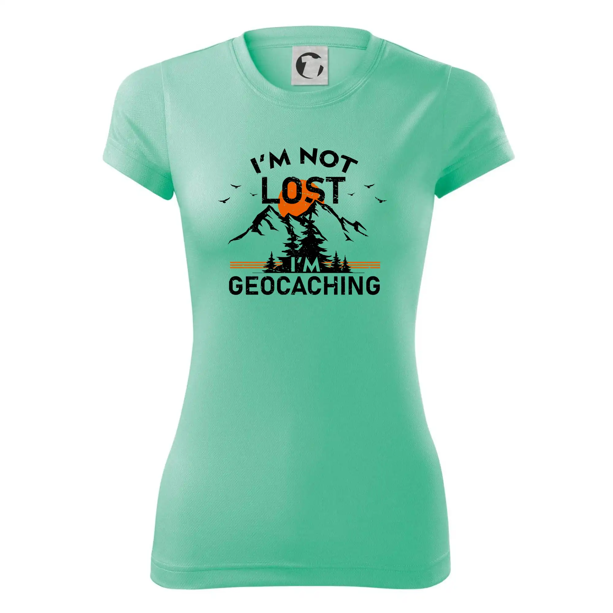 Im not lost - geocaching