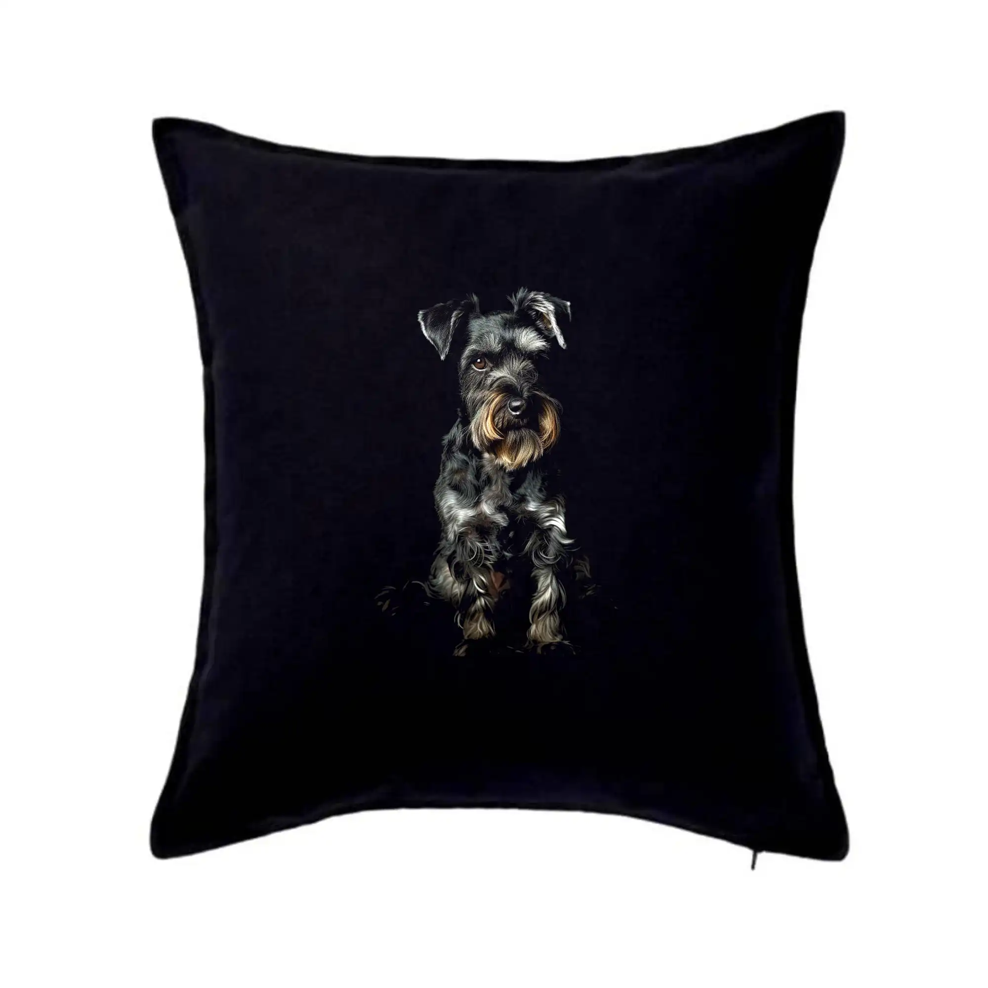 Knírač černá fotka