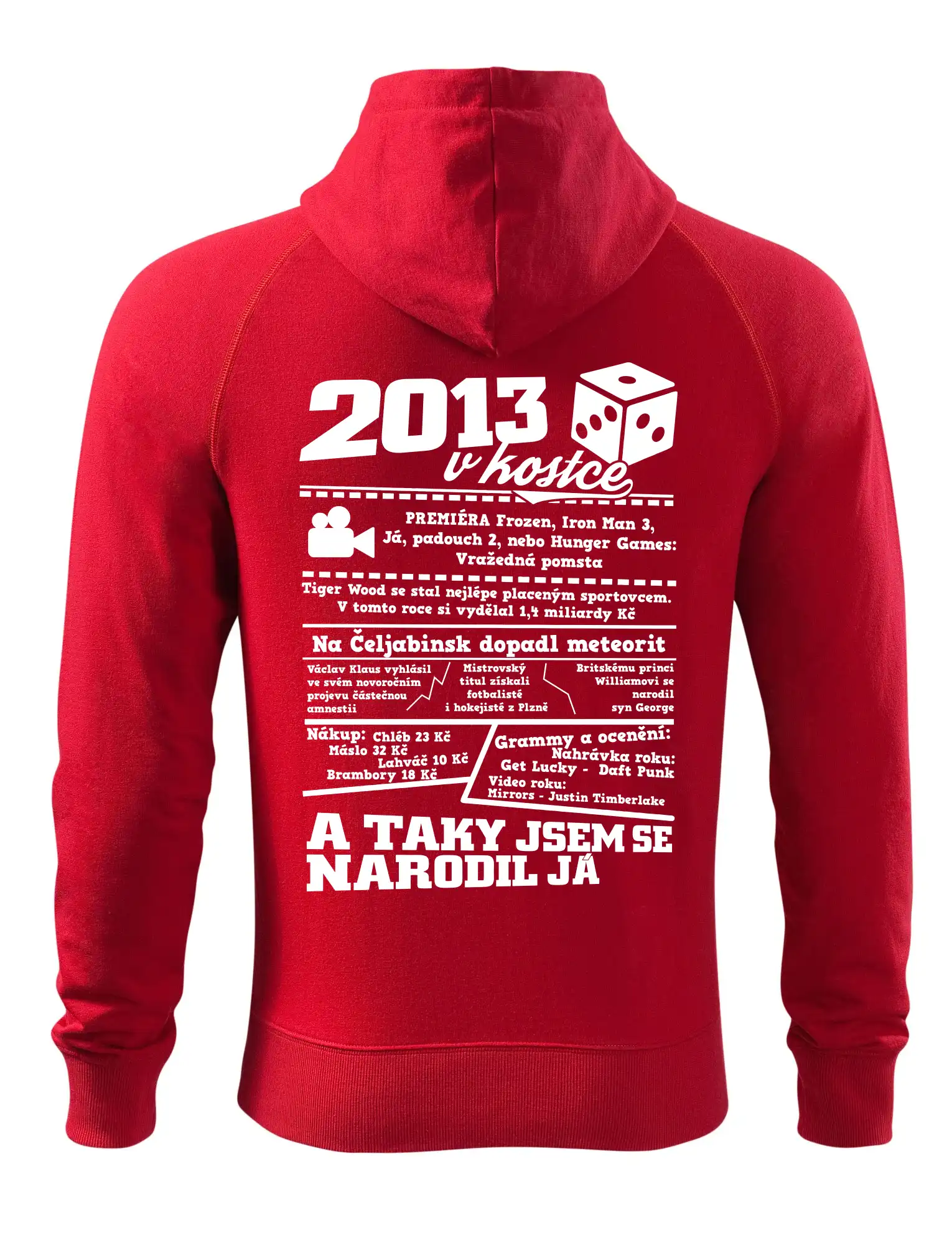 2013 v kostce