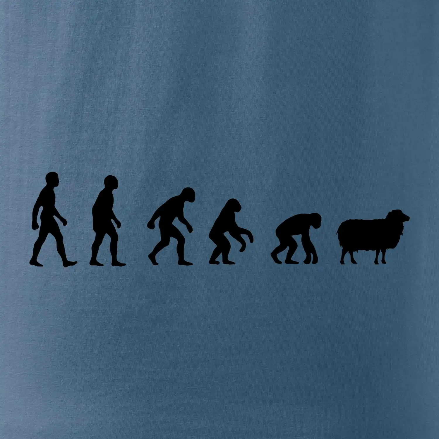 Evoluce ovce