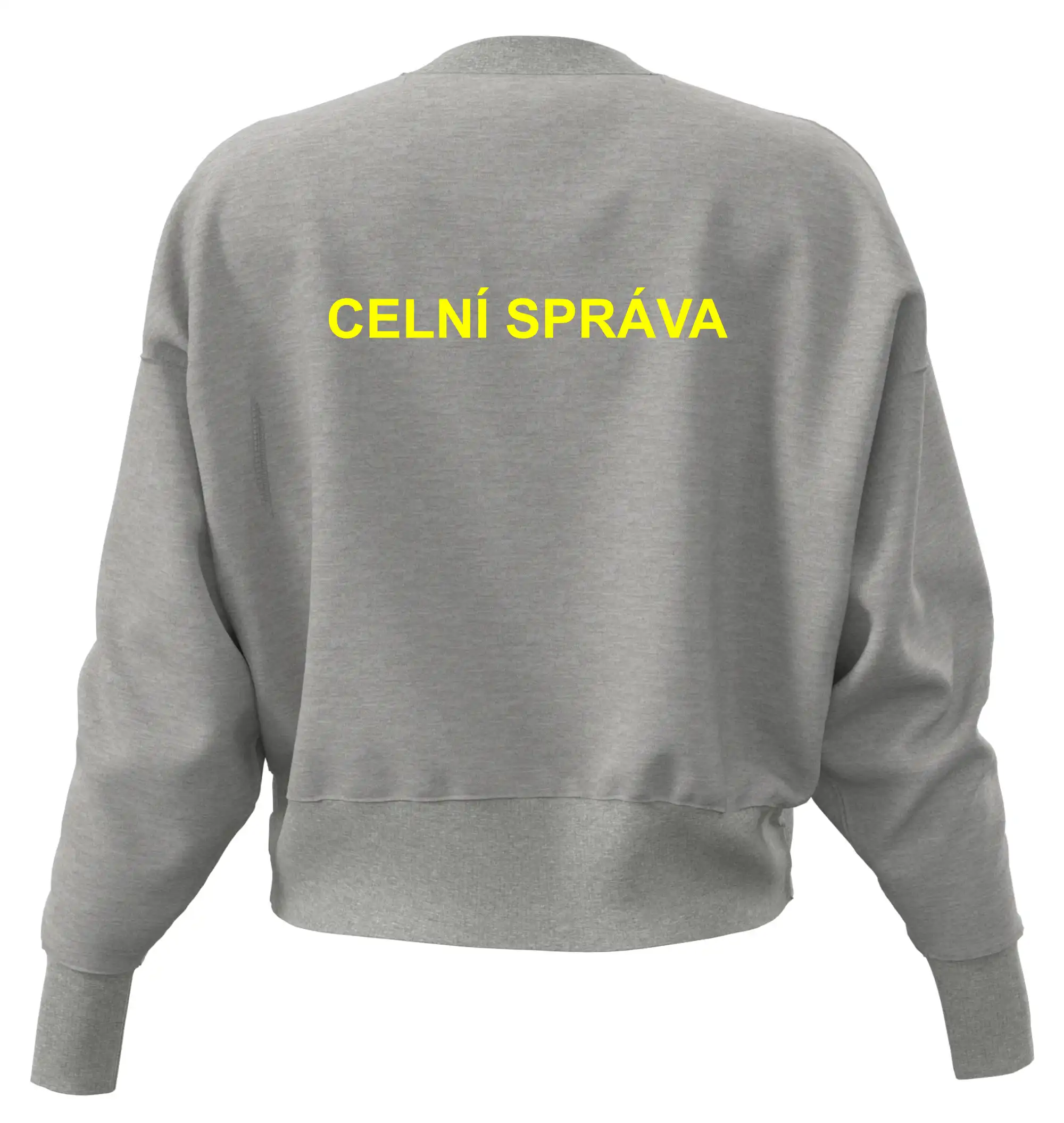 Celní správa