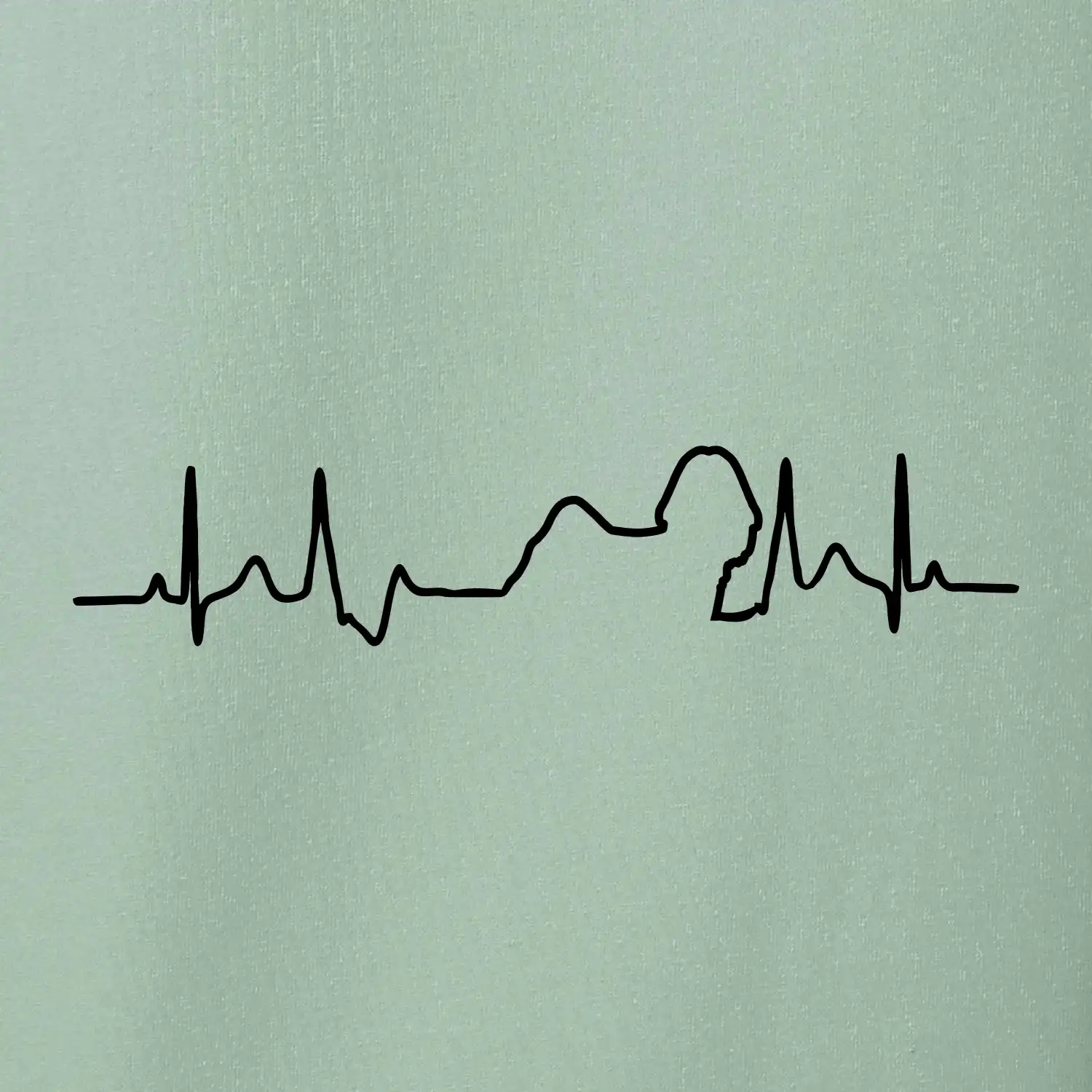 Shih-tzu ekg obrys
