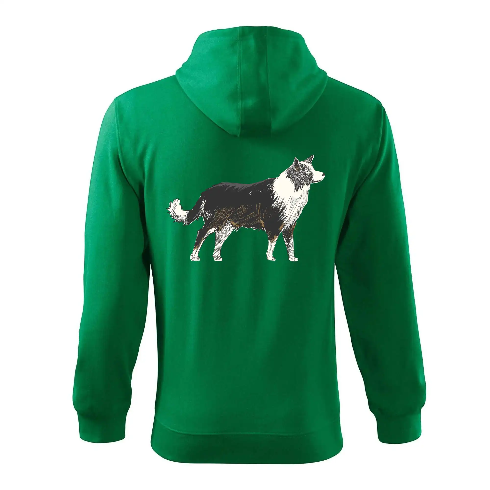 Border kolie kreslená