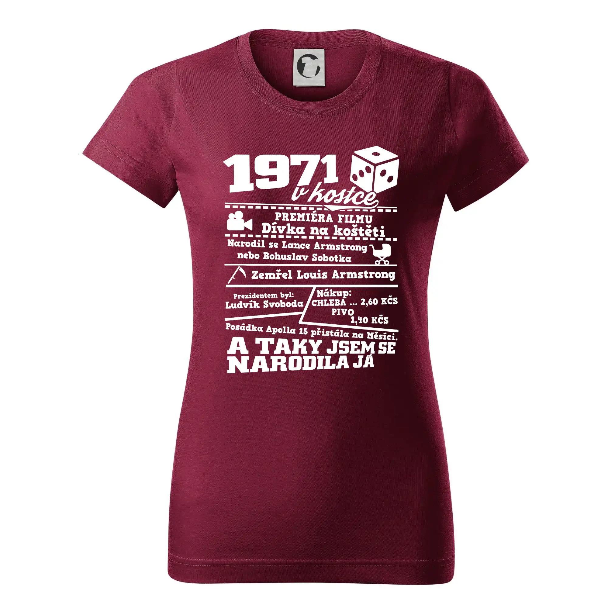 1971 v kostce