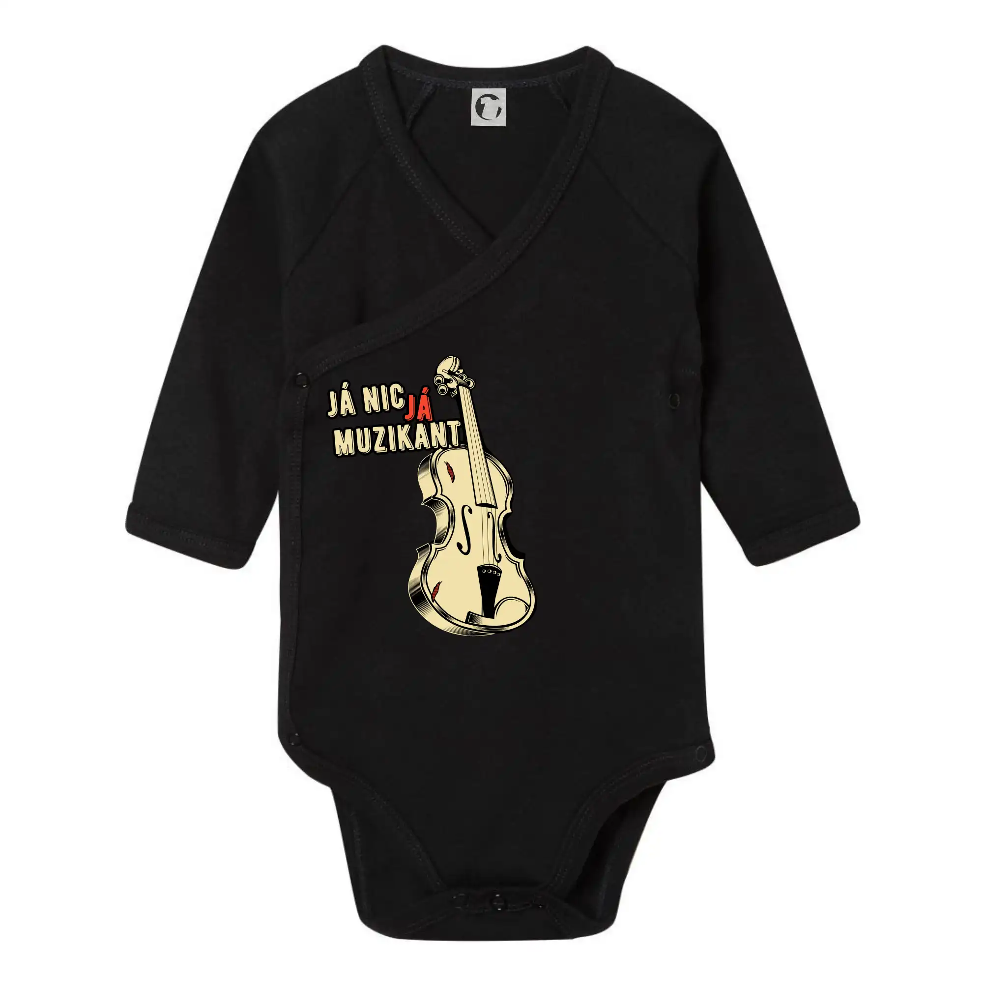 Já nic, já muzikant