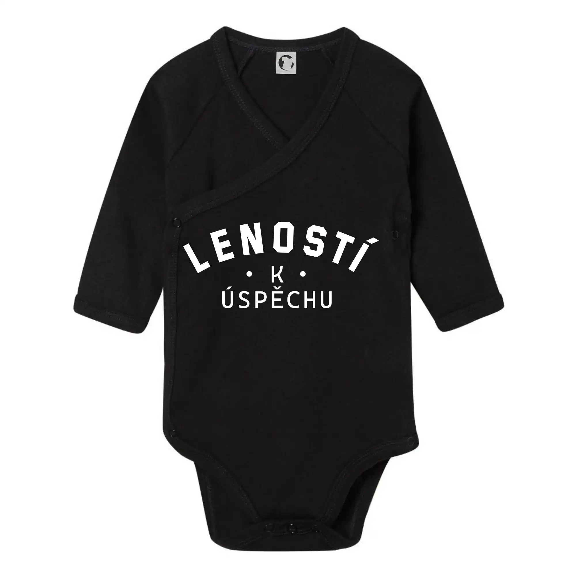 Leností k úspěchu - tiskací