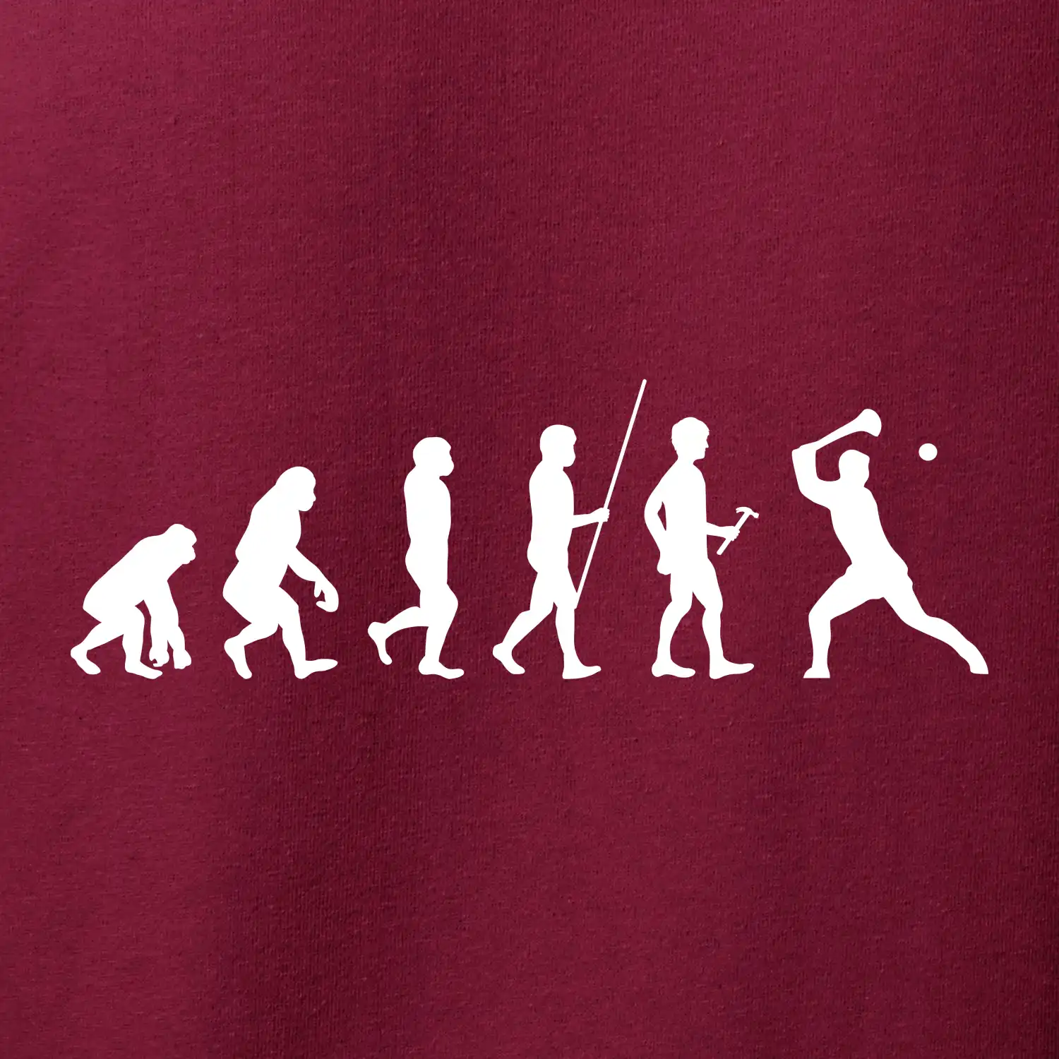 Evoluce hurling