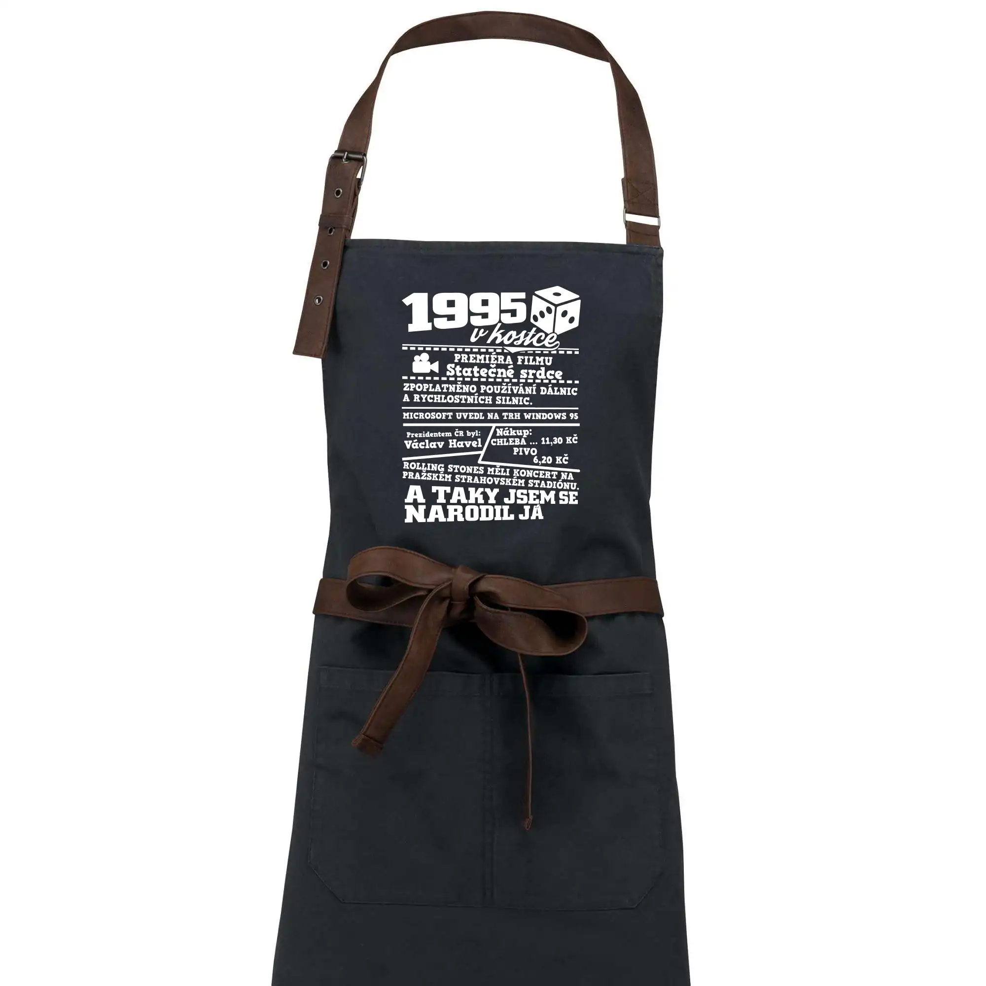 1995 v kostce