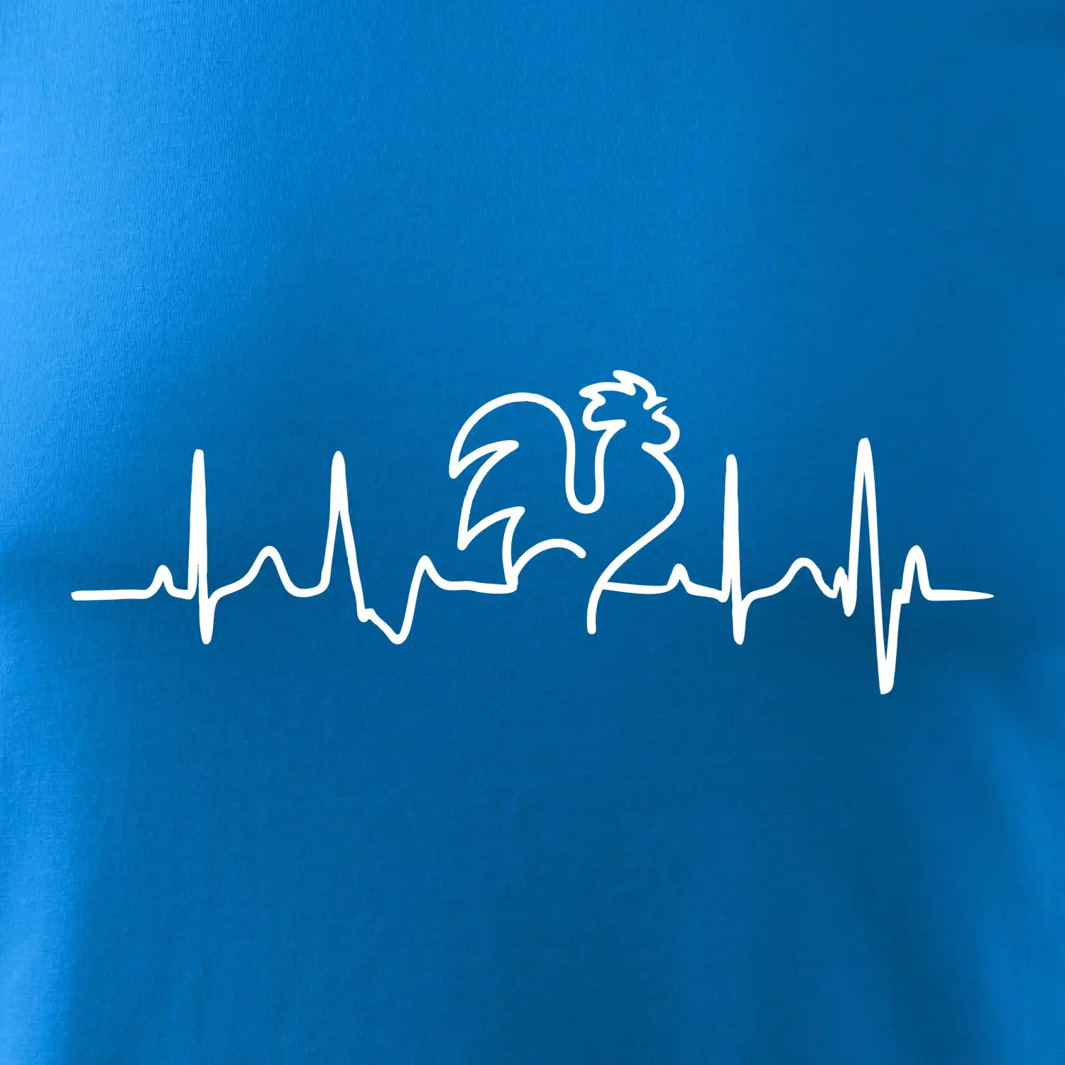 Kohout ekg