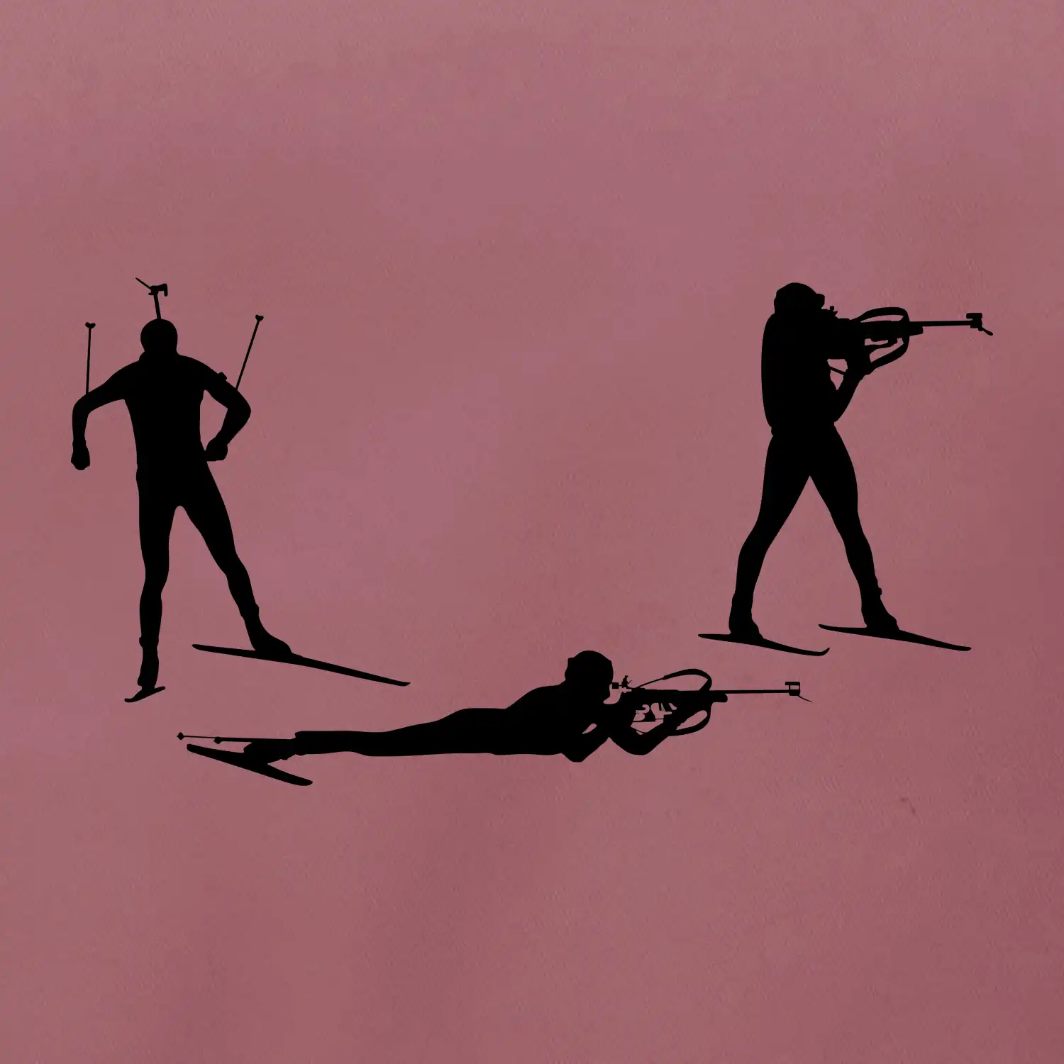 Biatlonista závod ON