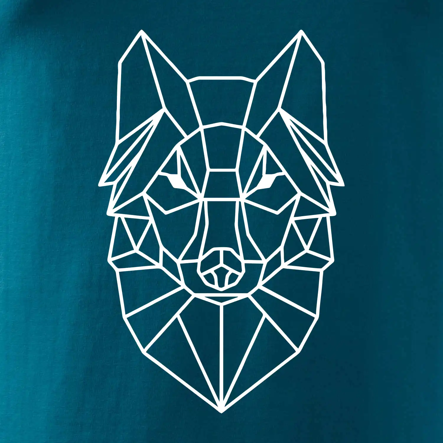 Geometrie - vlk