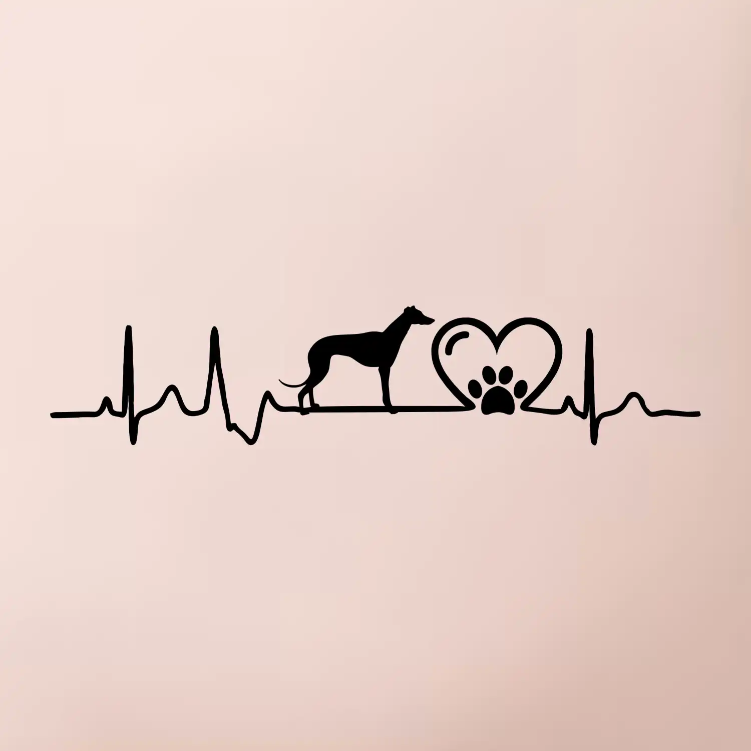 Chrt - Ekg