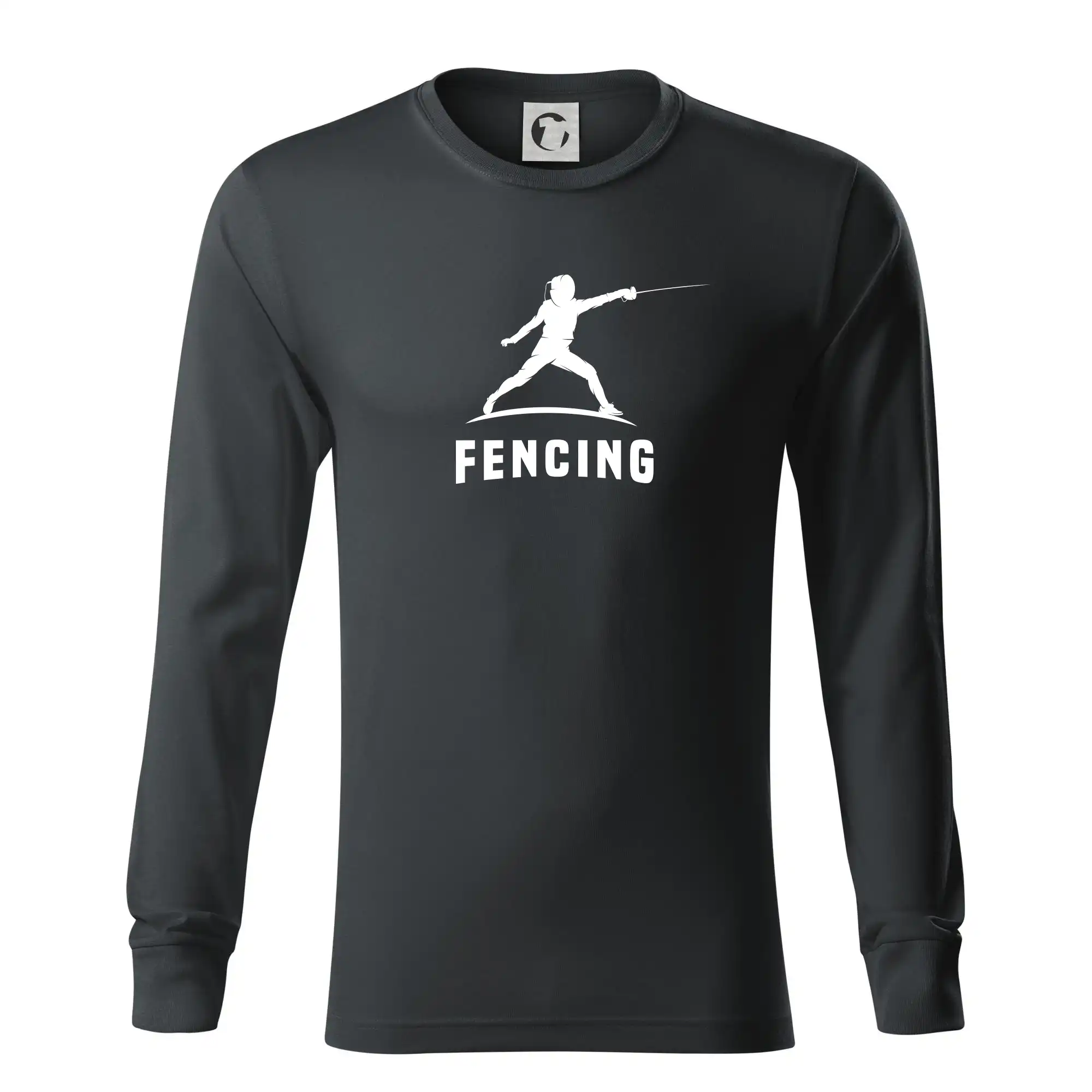 Fencing (šerm) - postava