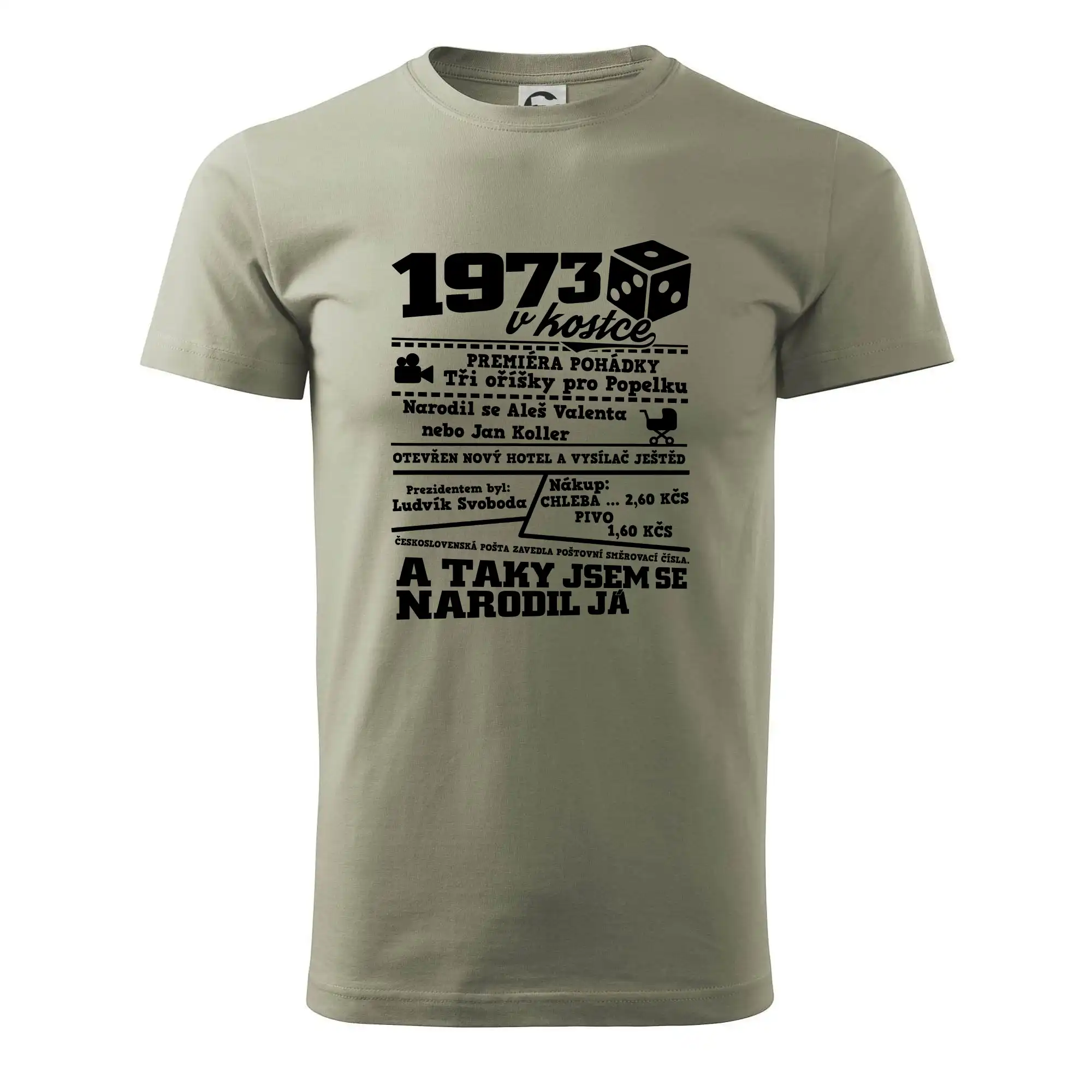 1973 v kostce