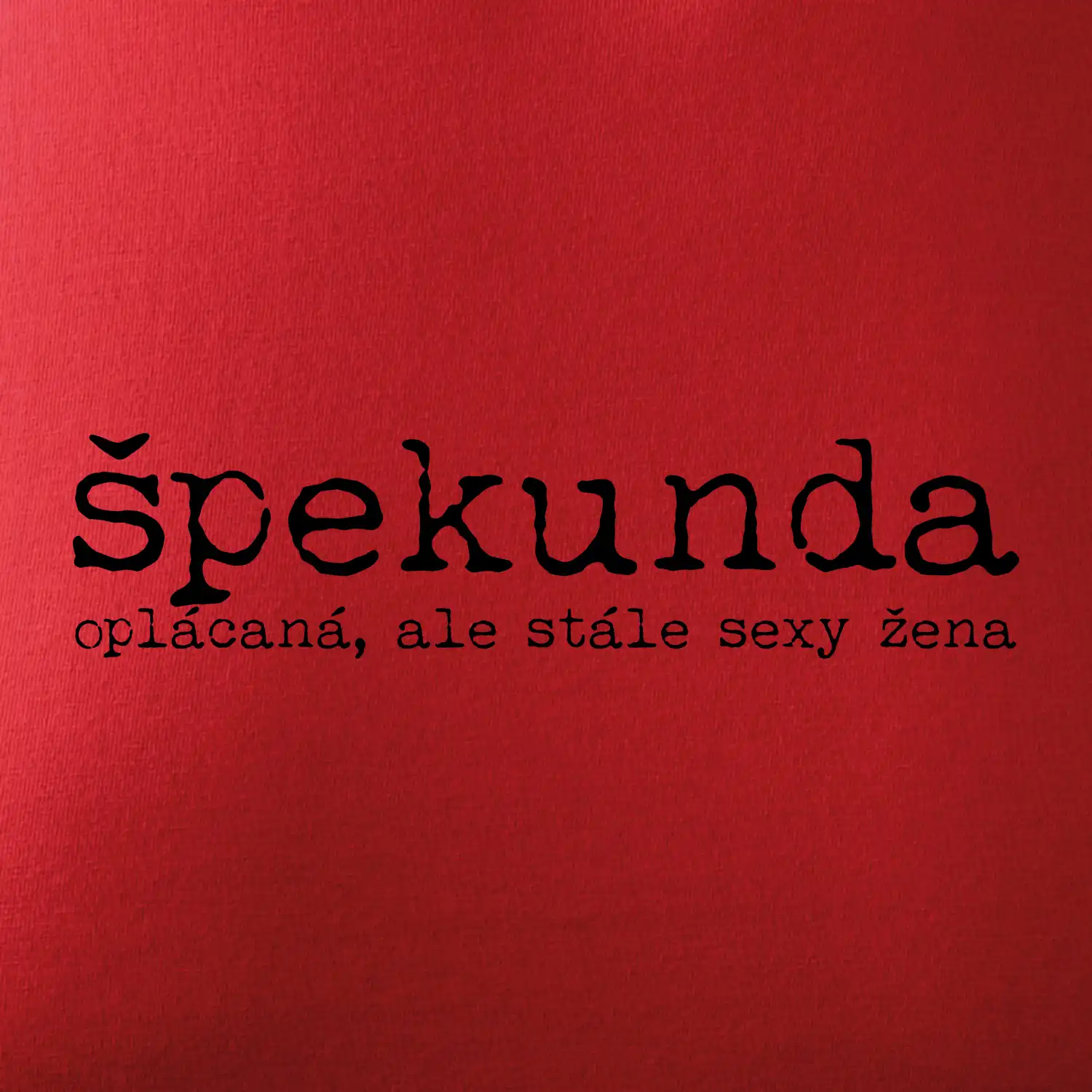 Čeština 2.0 - špekunda