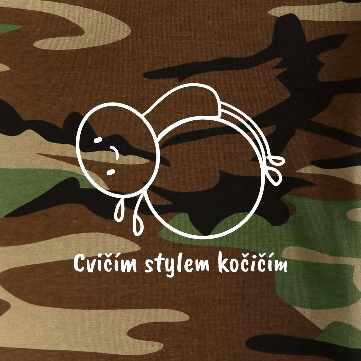 Cvičím stylem kočičím