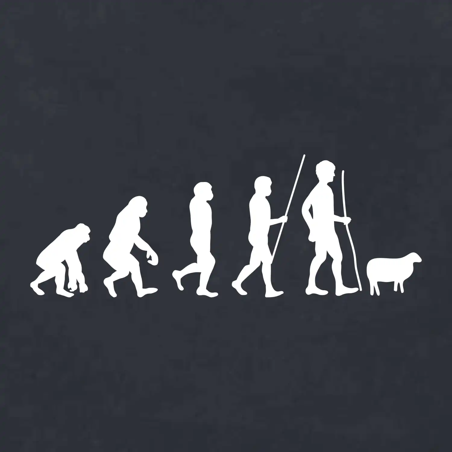 Evoluce pastevec ovcí