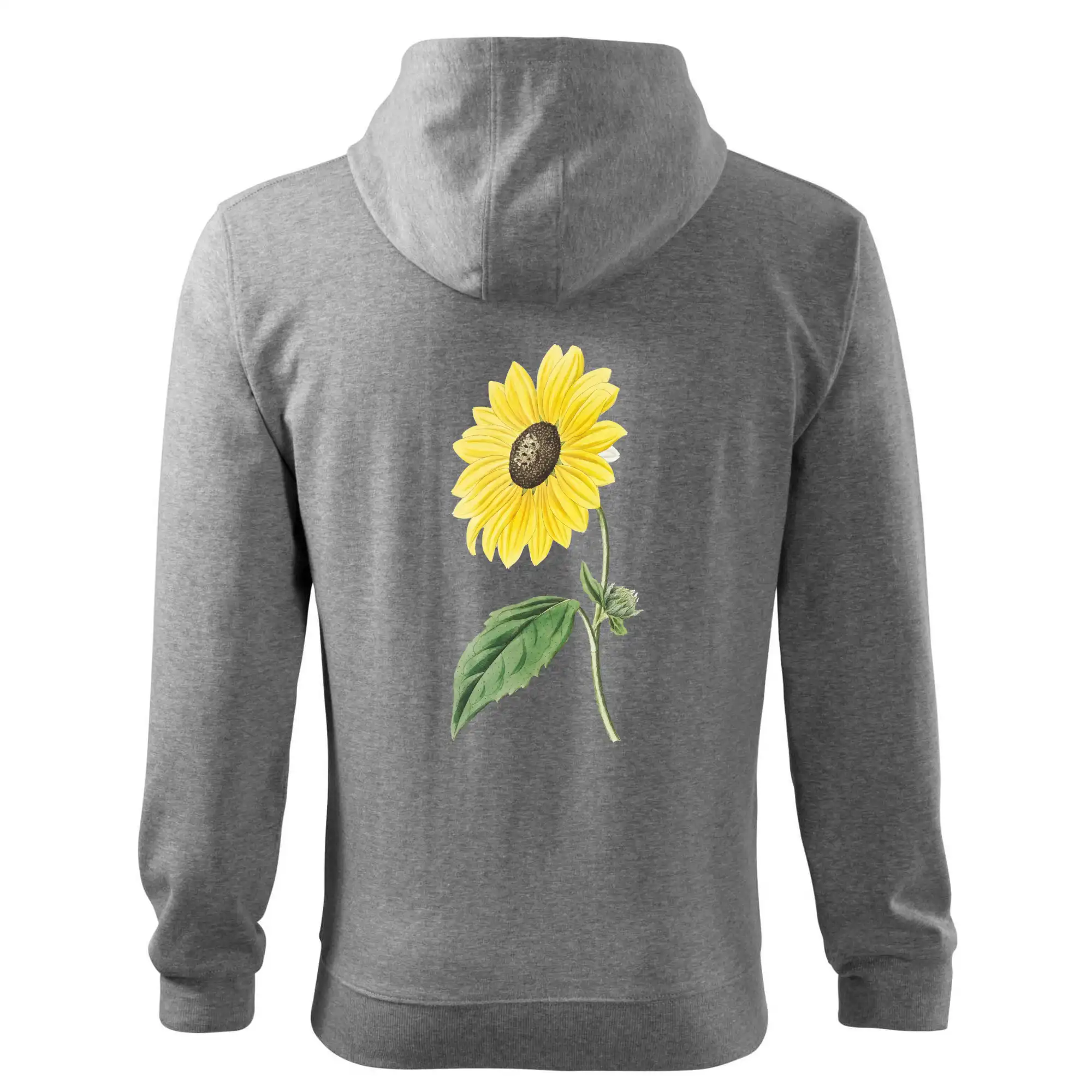 Slunečnice otočená