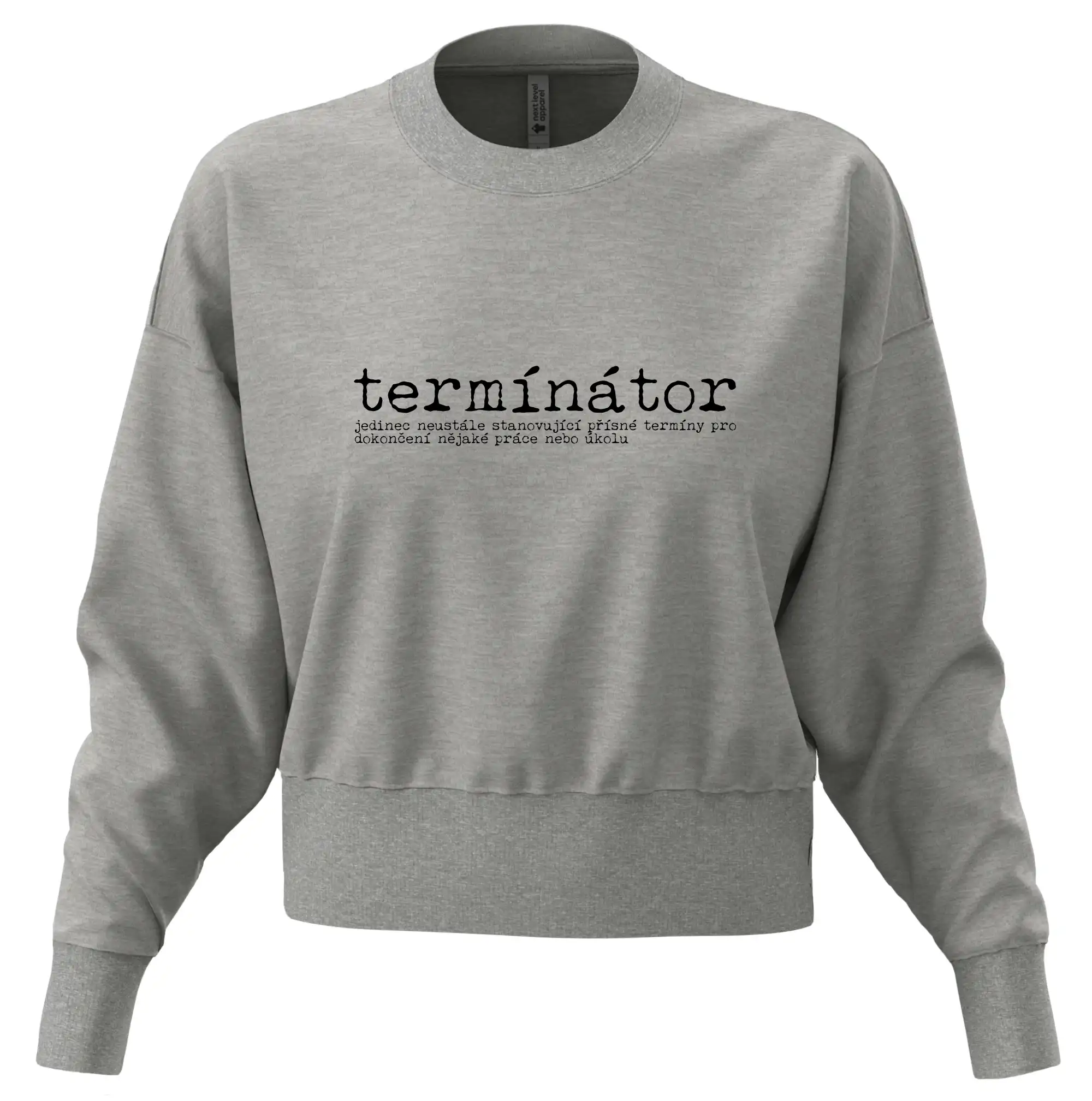 Čeština 2.0 - termínátor