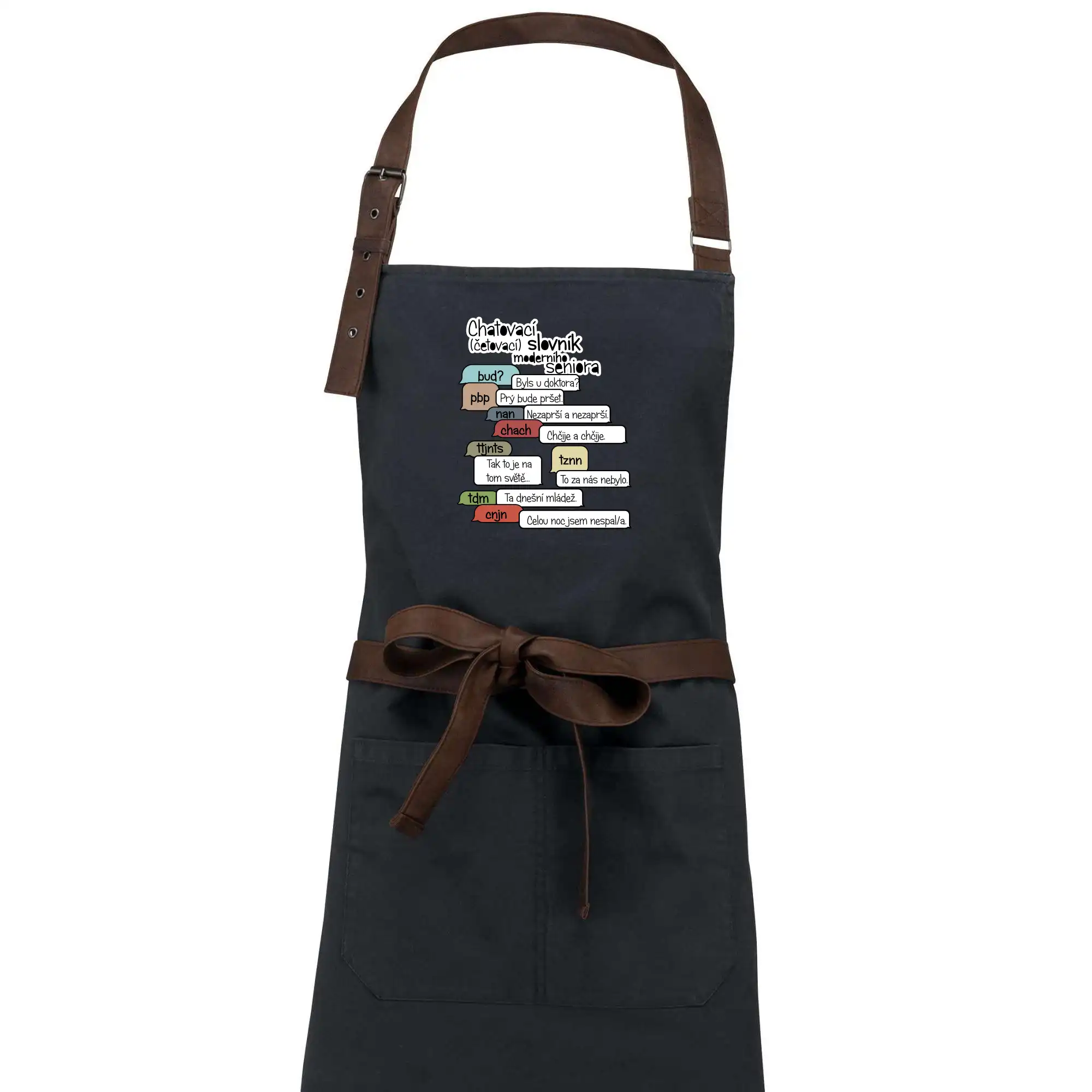 Chatovací slovník moderního seniora (Běžící češtinář)