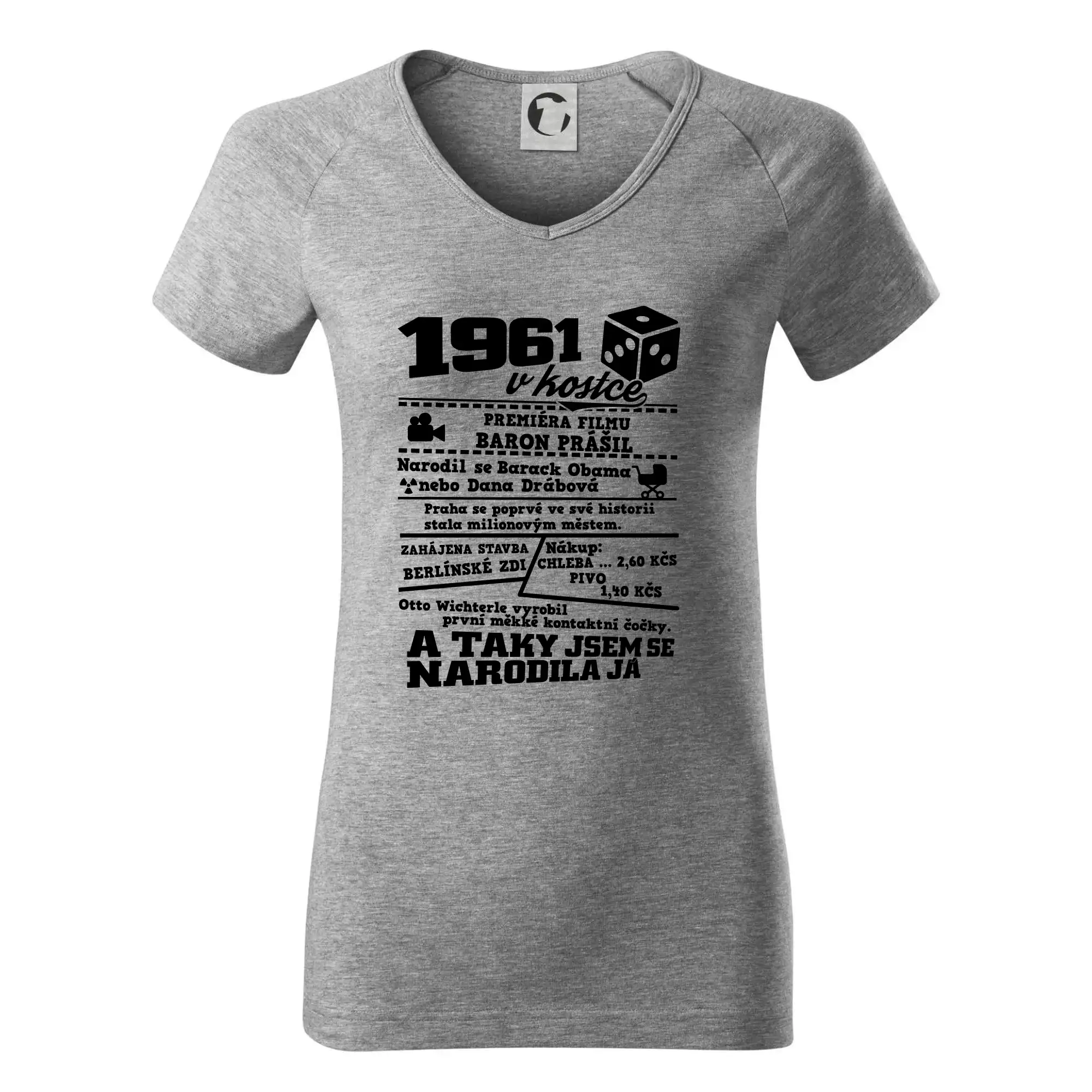 1961 v kostce
