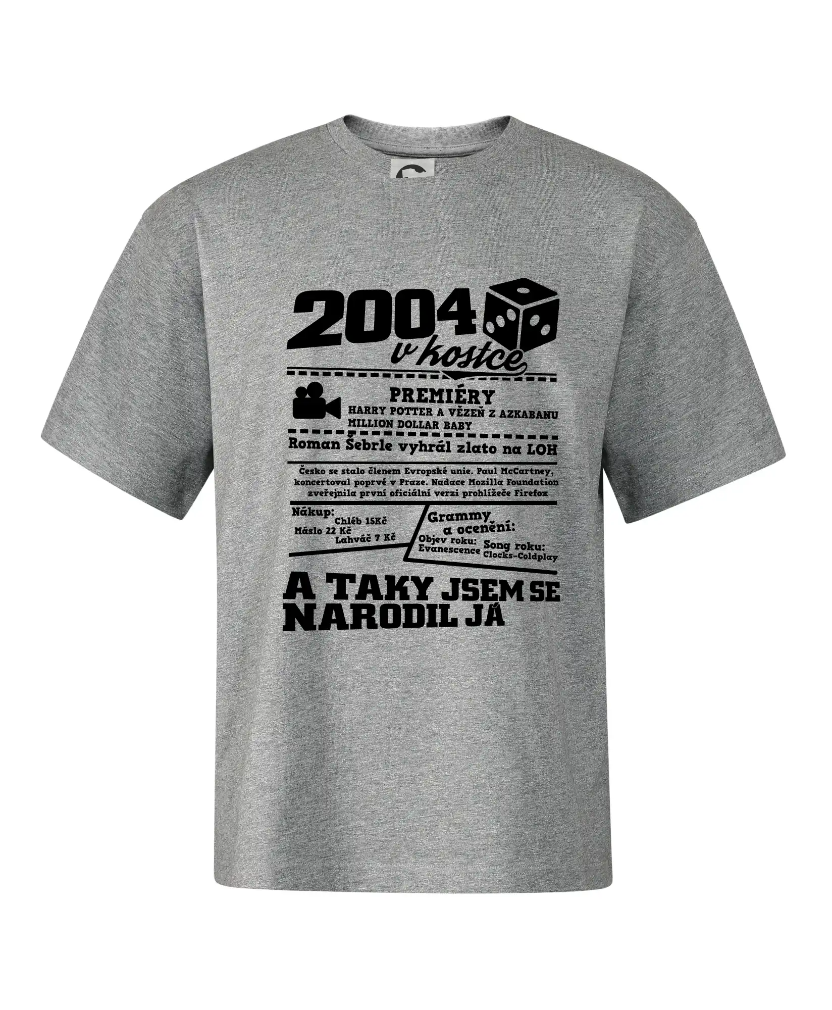 2004 v kostce