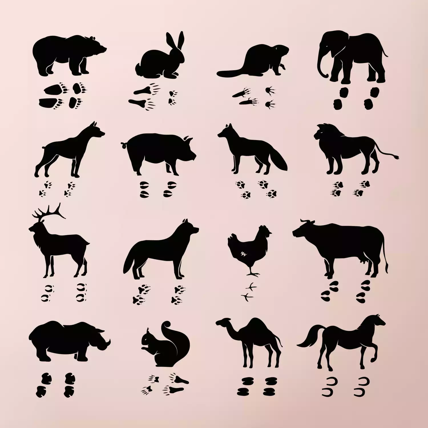 Zvířecí stopy s obrázkem zvířete - stopy zvířat