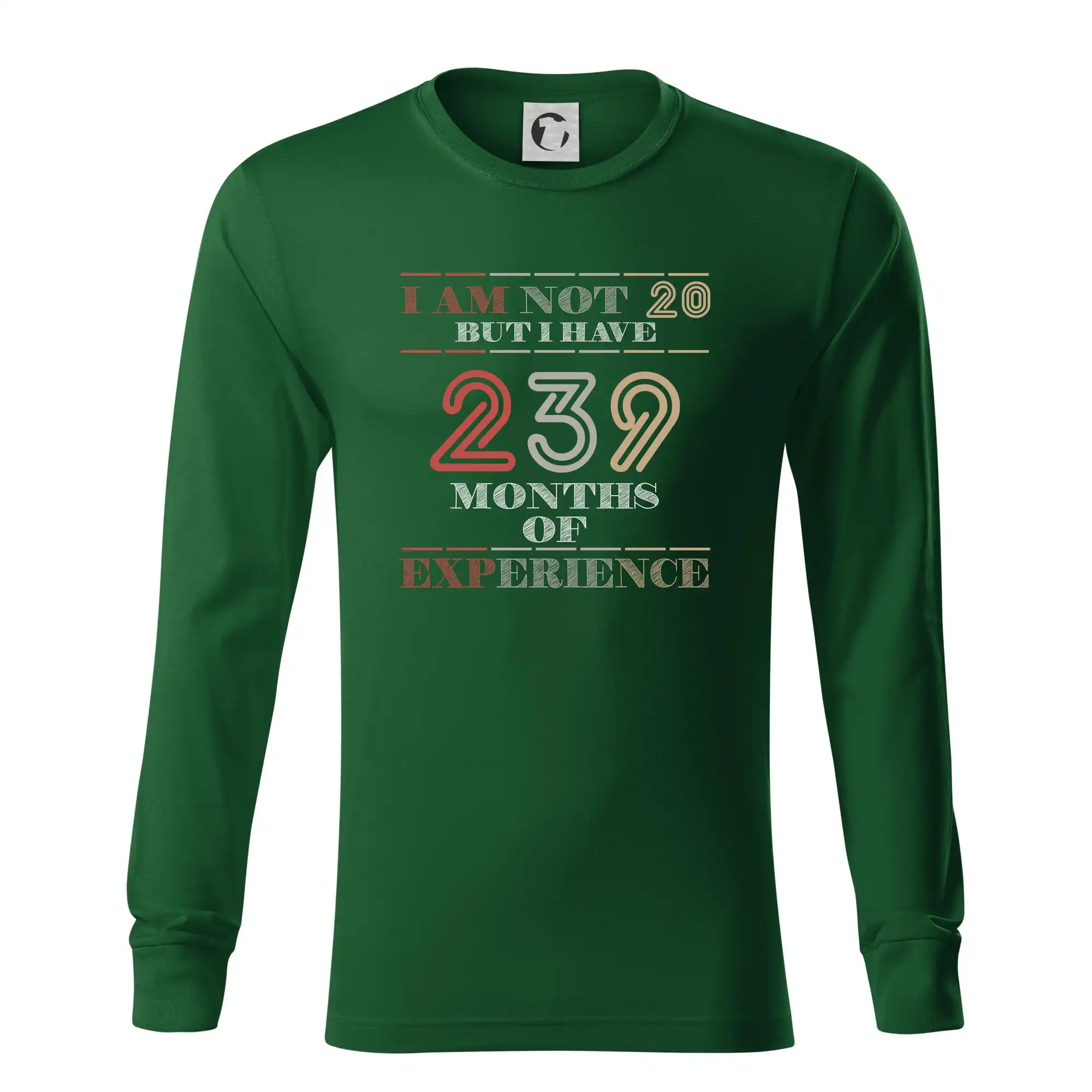 20 years 239 months of experience