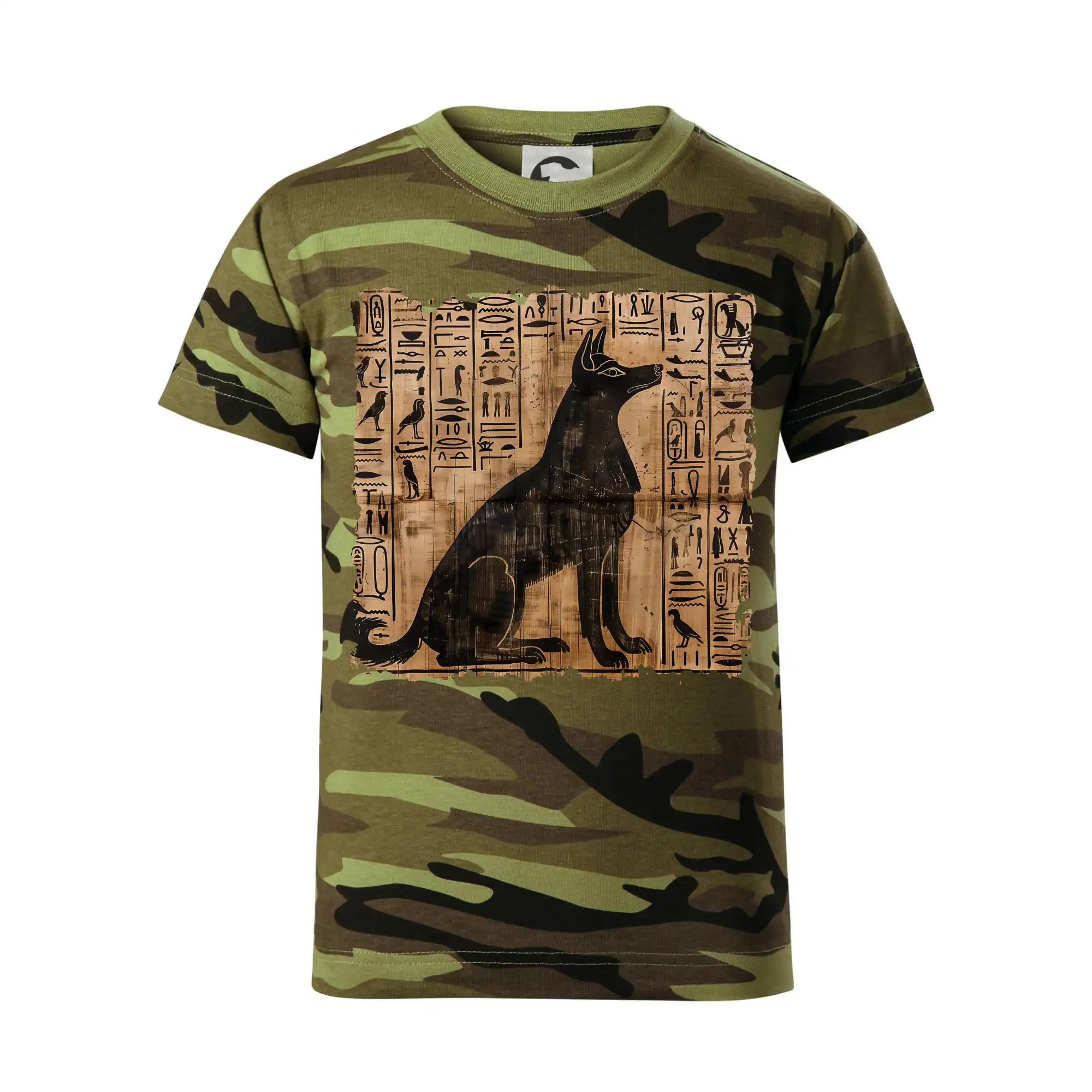 Egyptské hieroglyfy pes