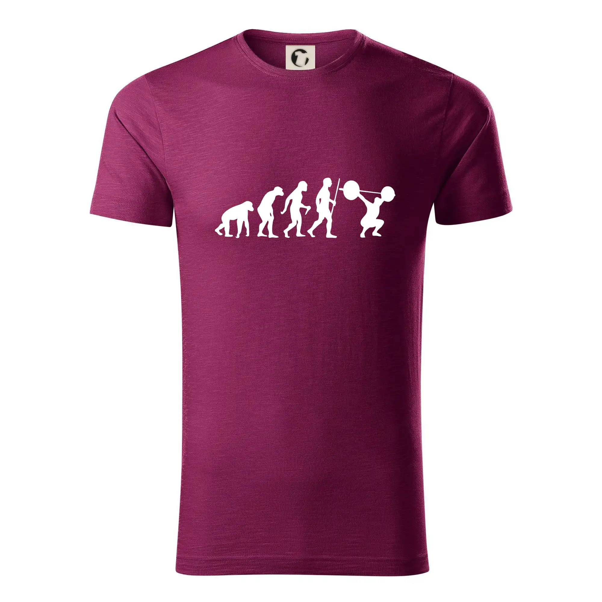 Evolution fitness