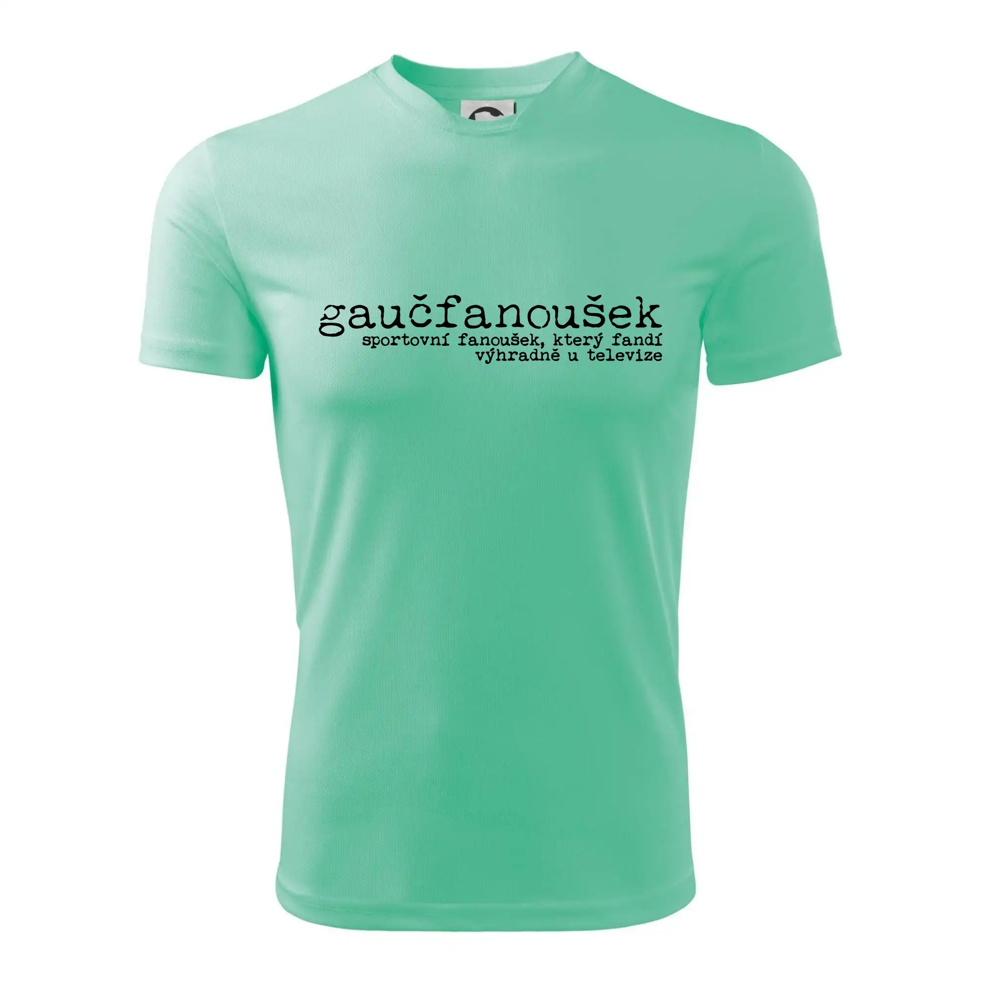 Čeština 2.0 - gaučfanoušek