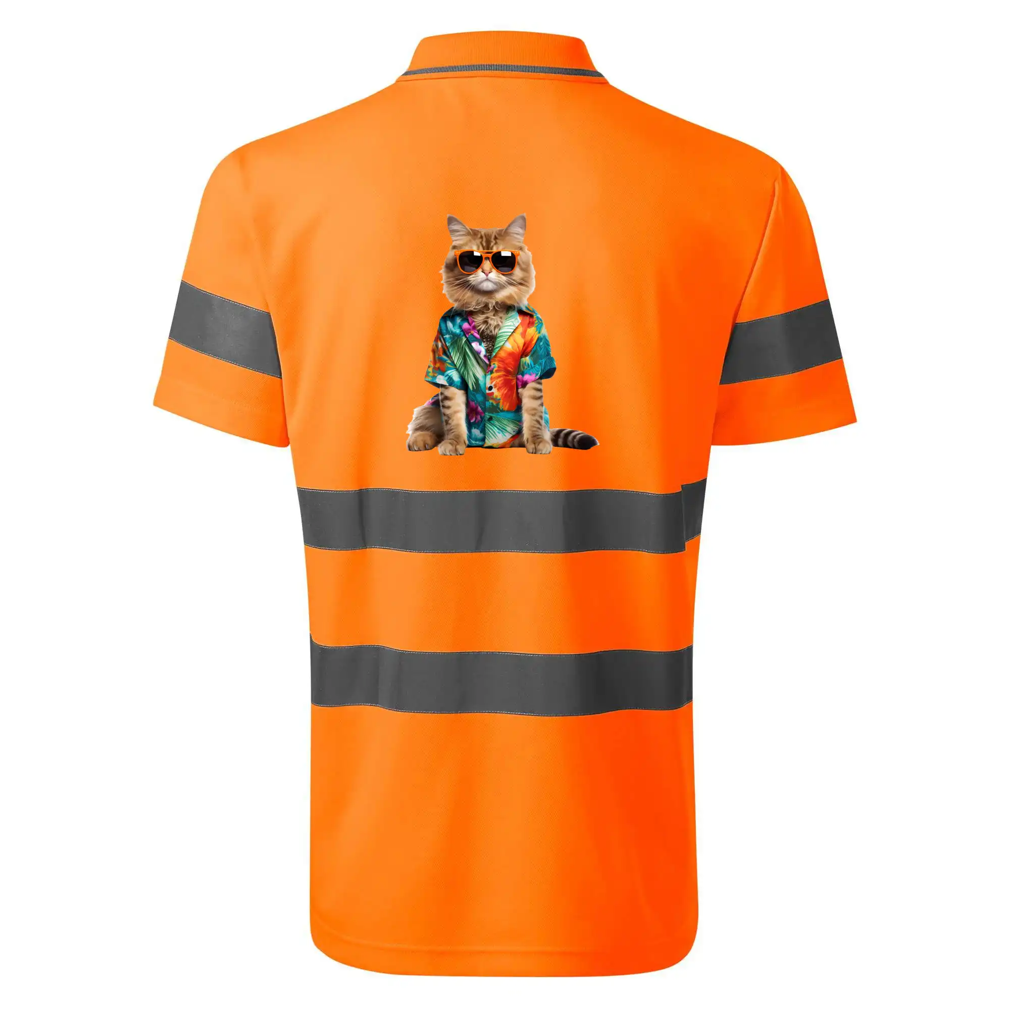 Kočka v létě