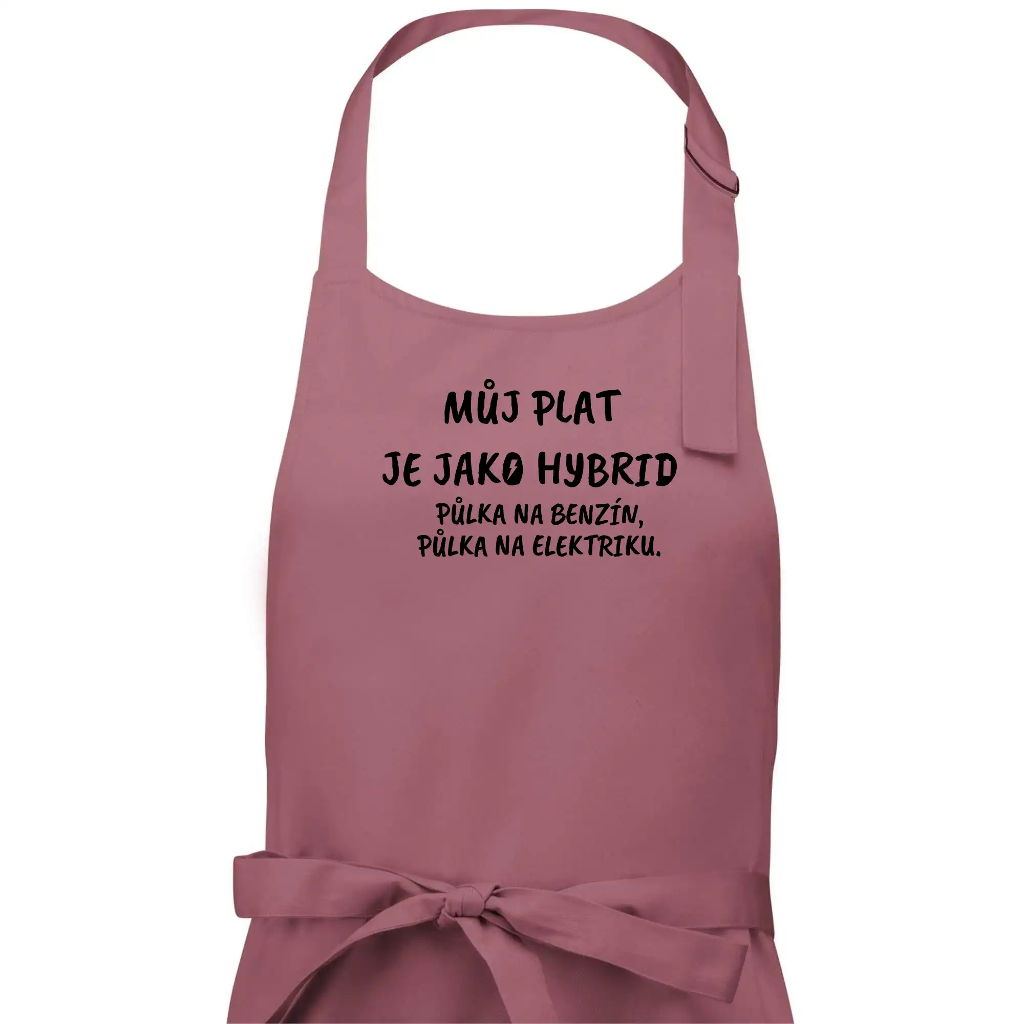 Můj plat jako hybrid