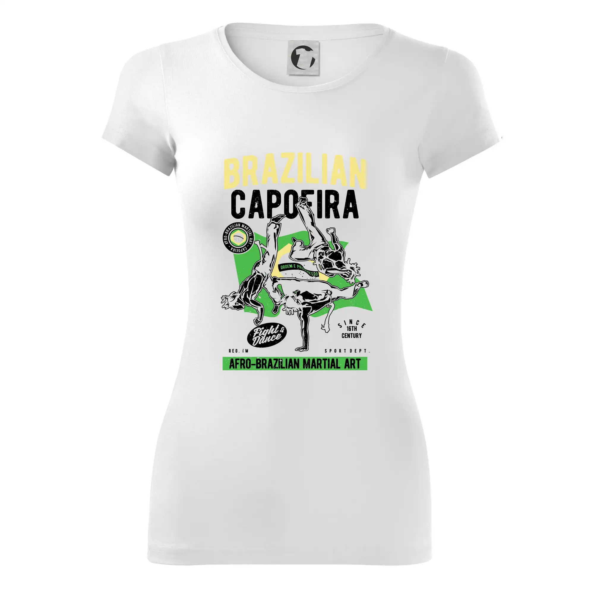 Brazilian Capoeira