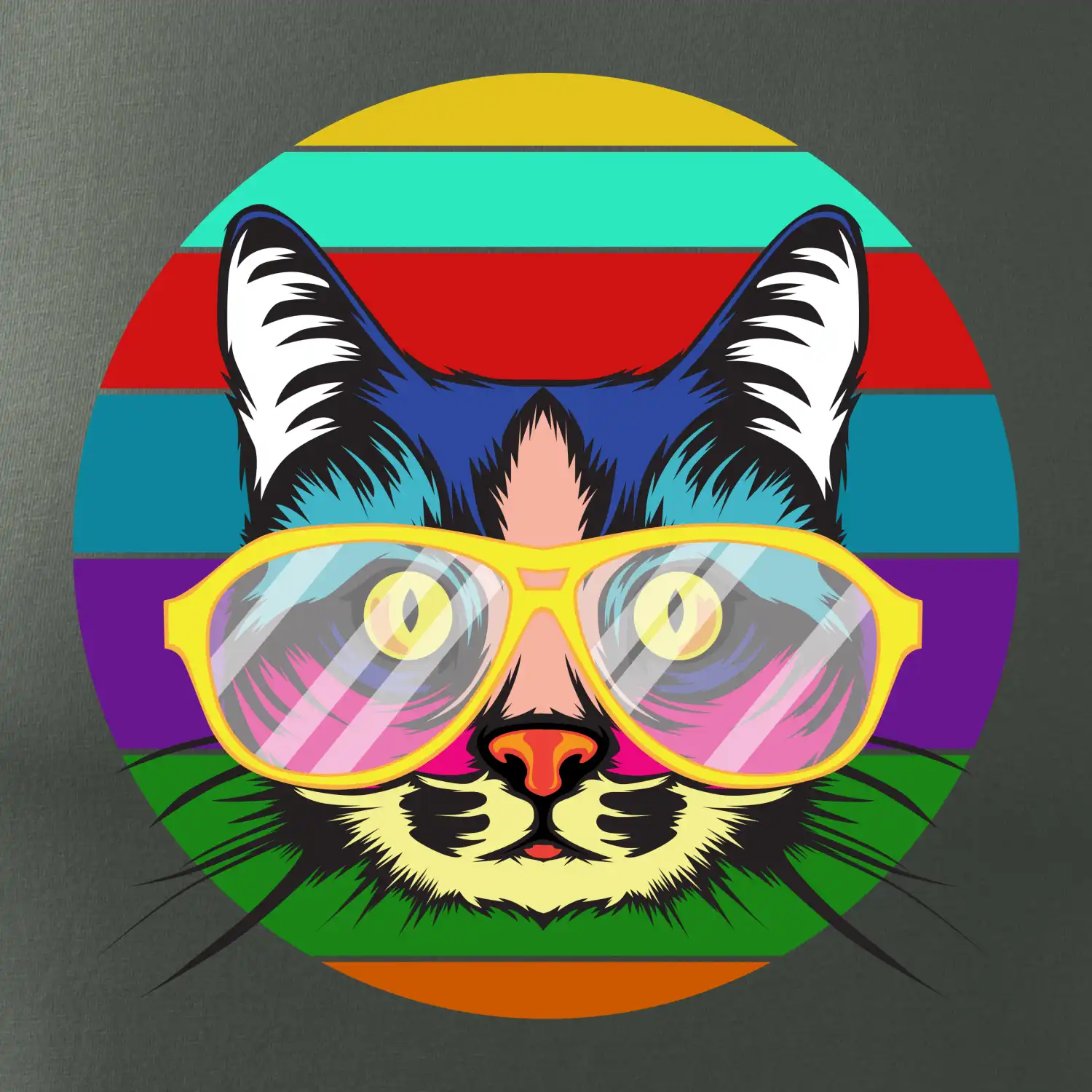 Kočka při barevném západu