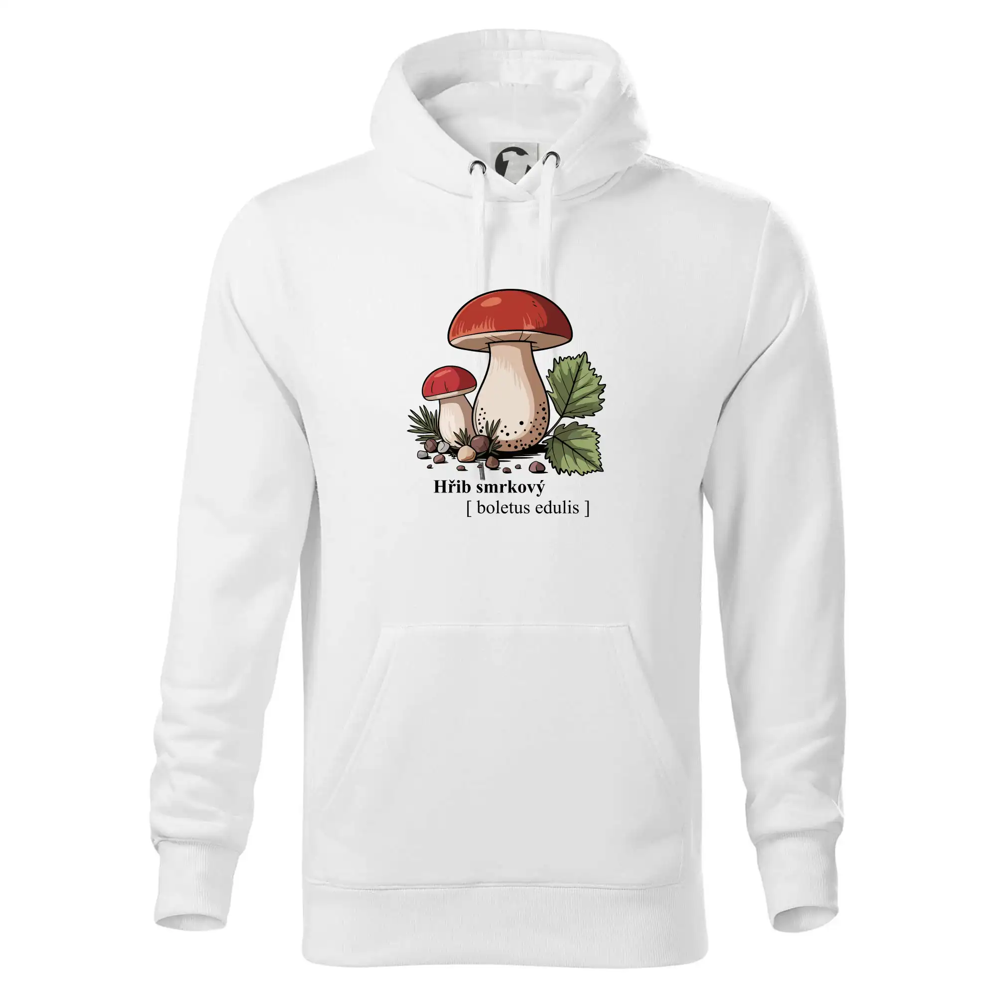 Hřib smrkový - Boletus edulis kreslený