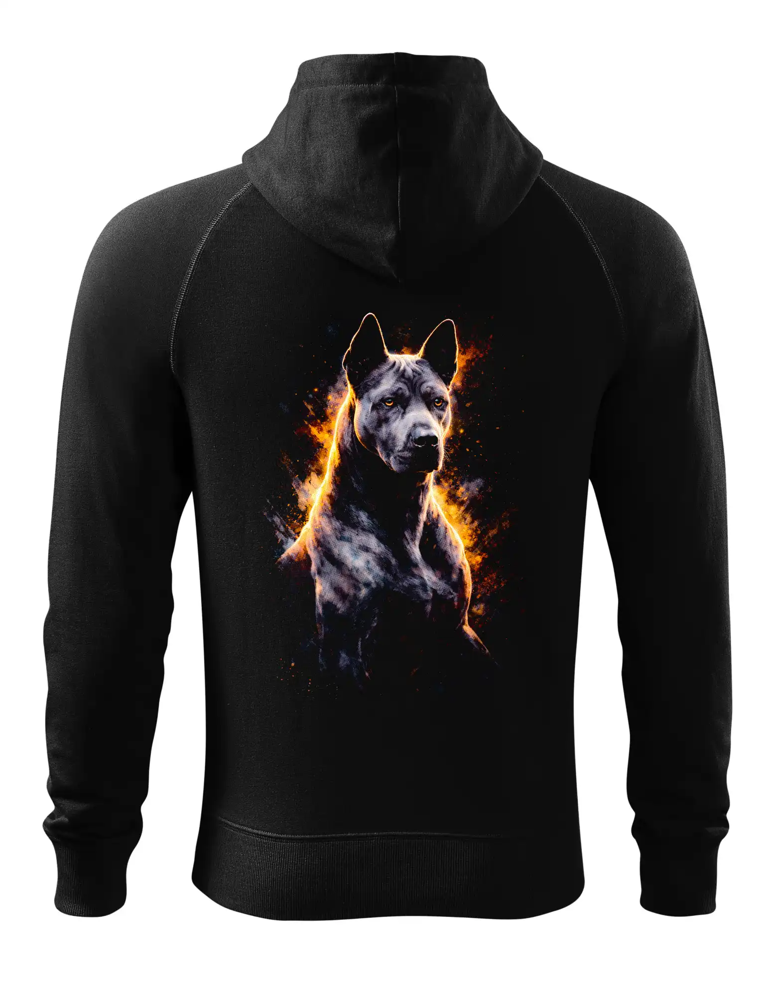 Obrázek polotón Thajský ridgeback