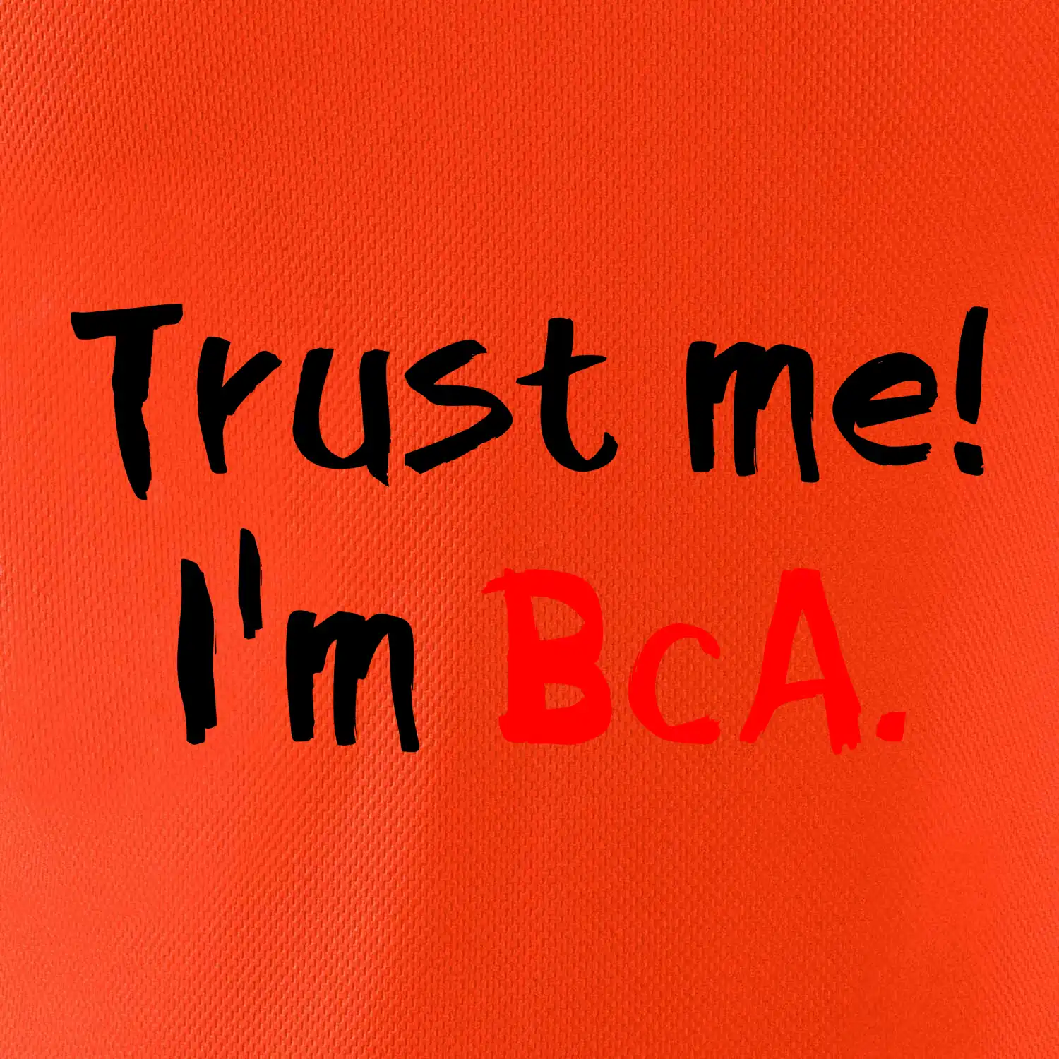 Trust me I´m  BcA. / Věř mi jsem BcA.
