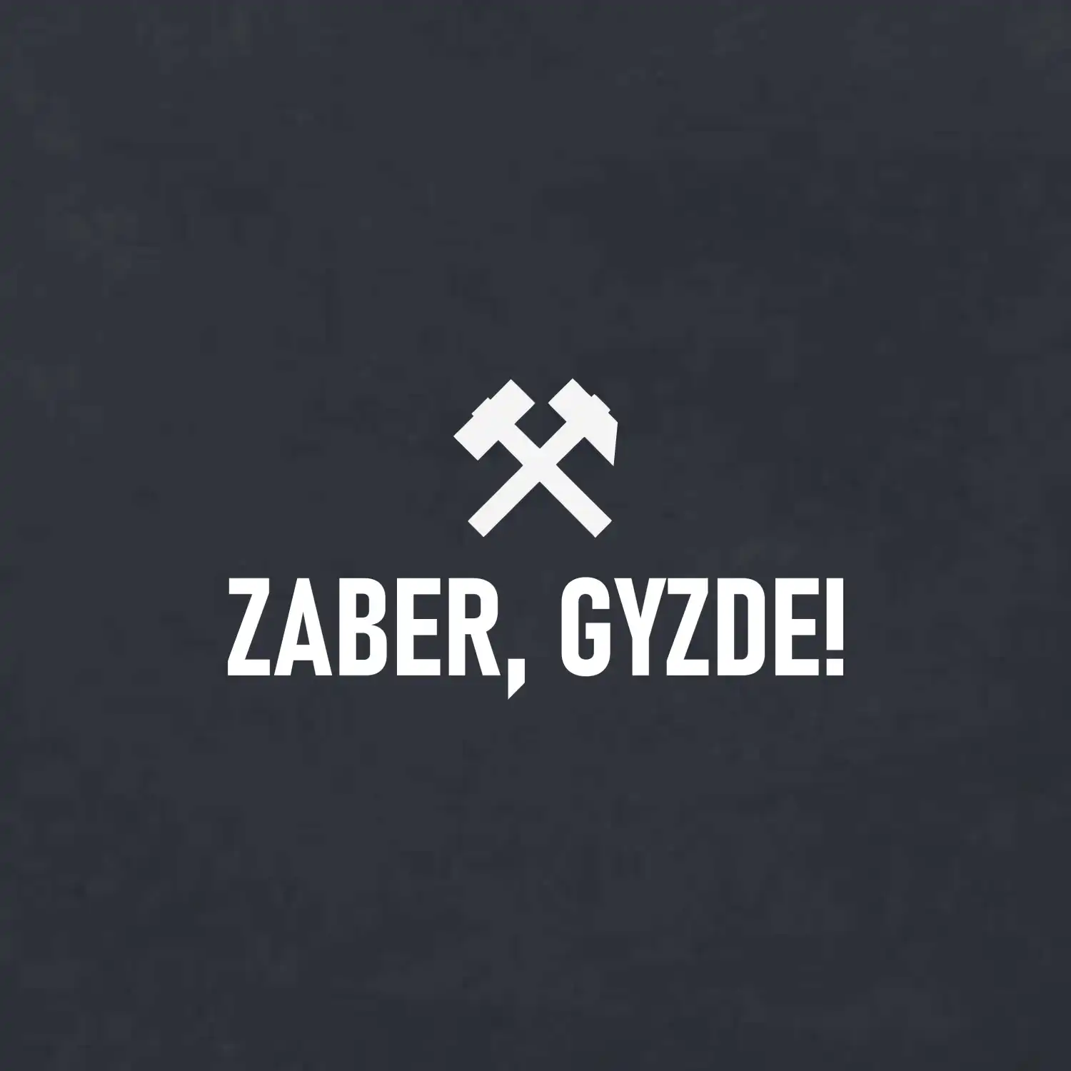 ZABER, GYZDE!﻿