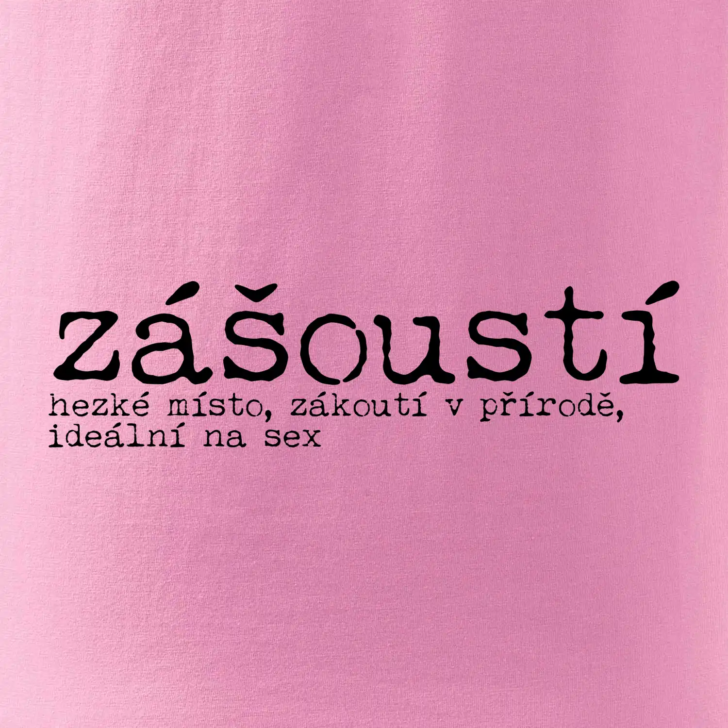 Čeština 2.0 - zášoustí