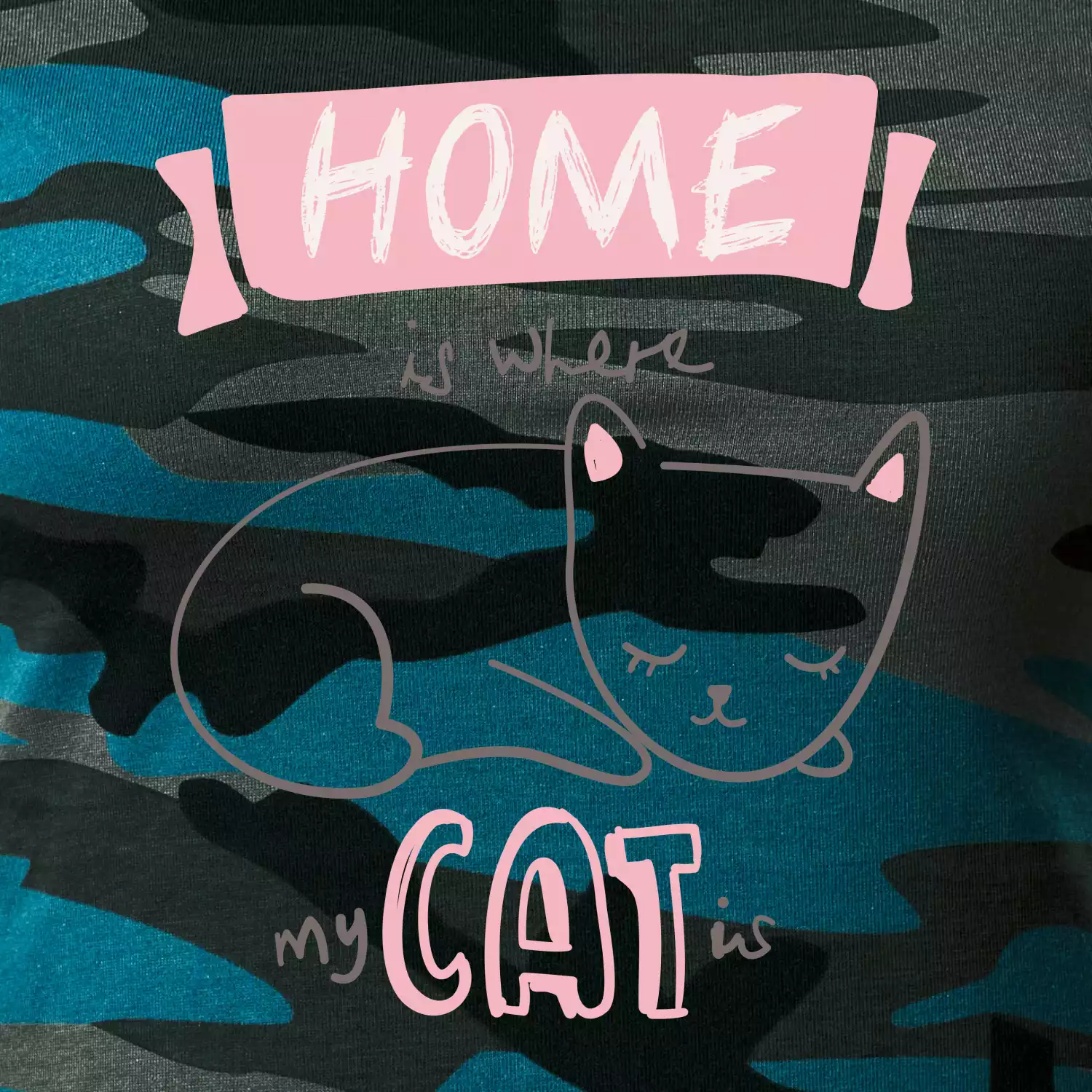 Home is where my cat is